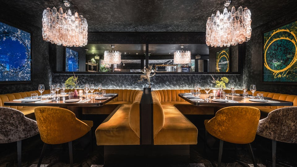 Private dining room at The Mandrake with elegant decor for upscale events and meetings.