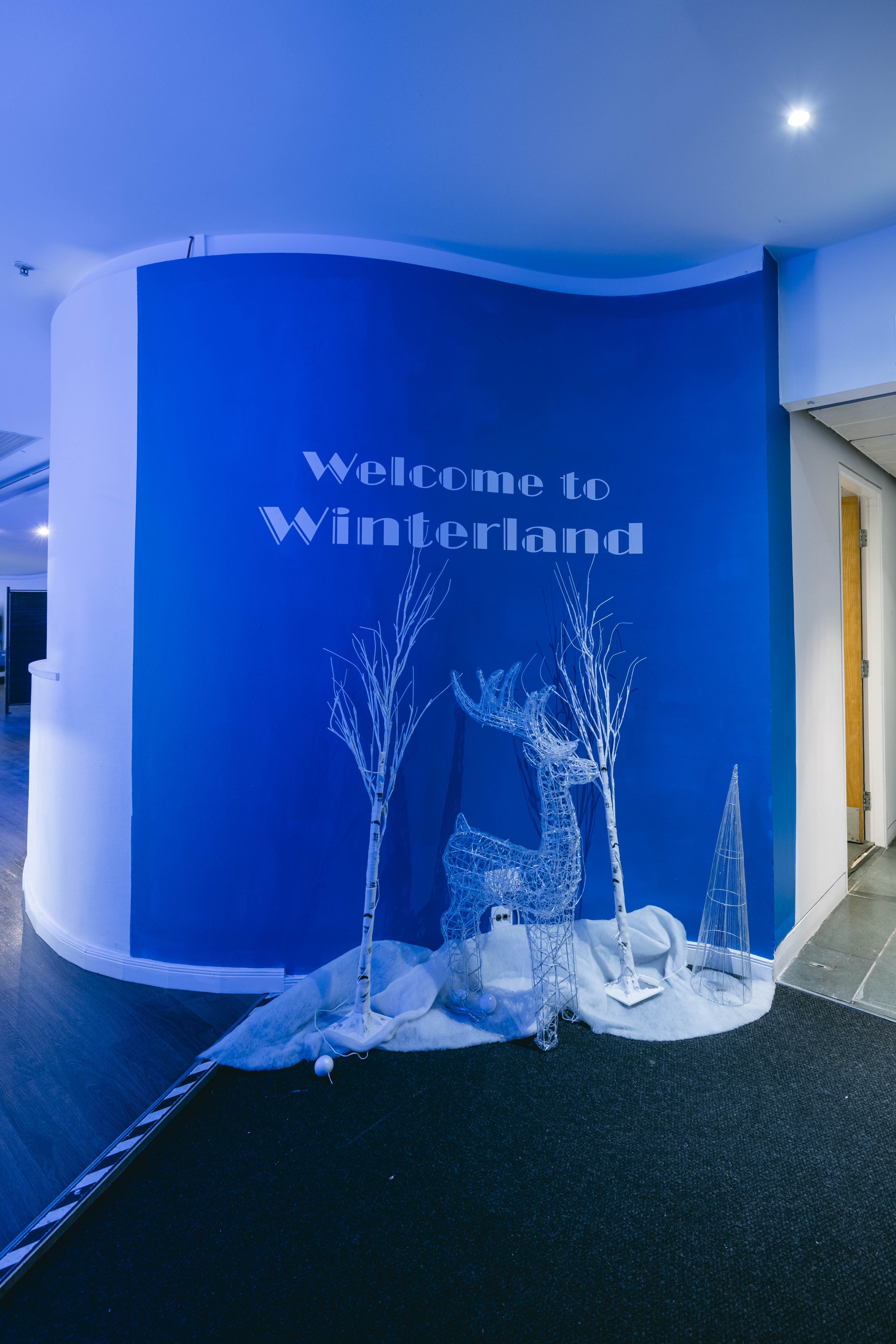 "Winterland Christmas welcome display with deer and trees for festive events"