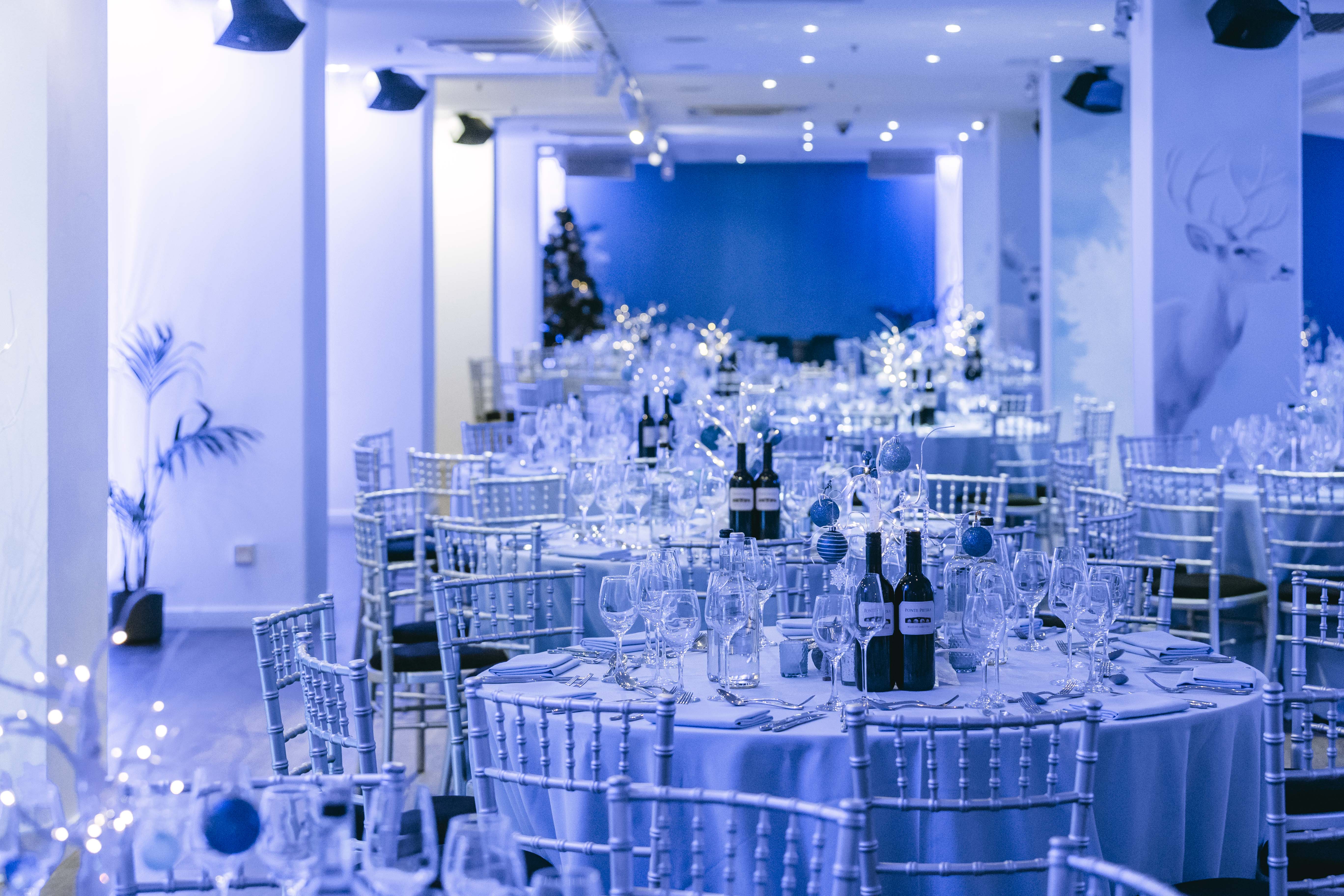 Winterland Christmas - jdlwbwu0512.jpg