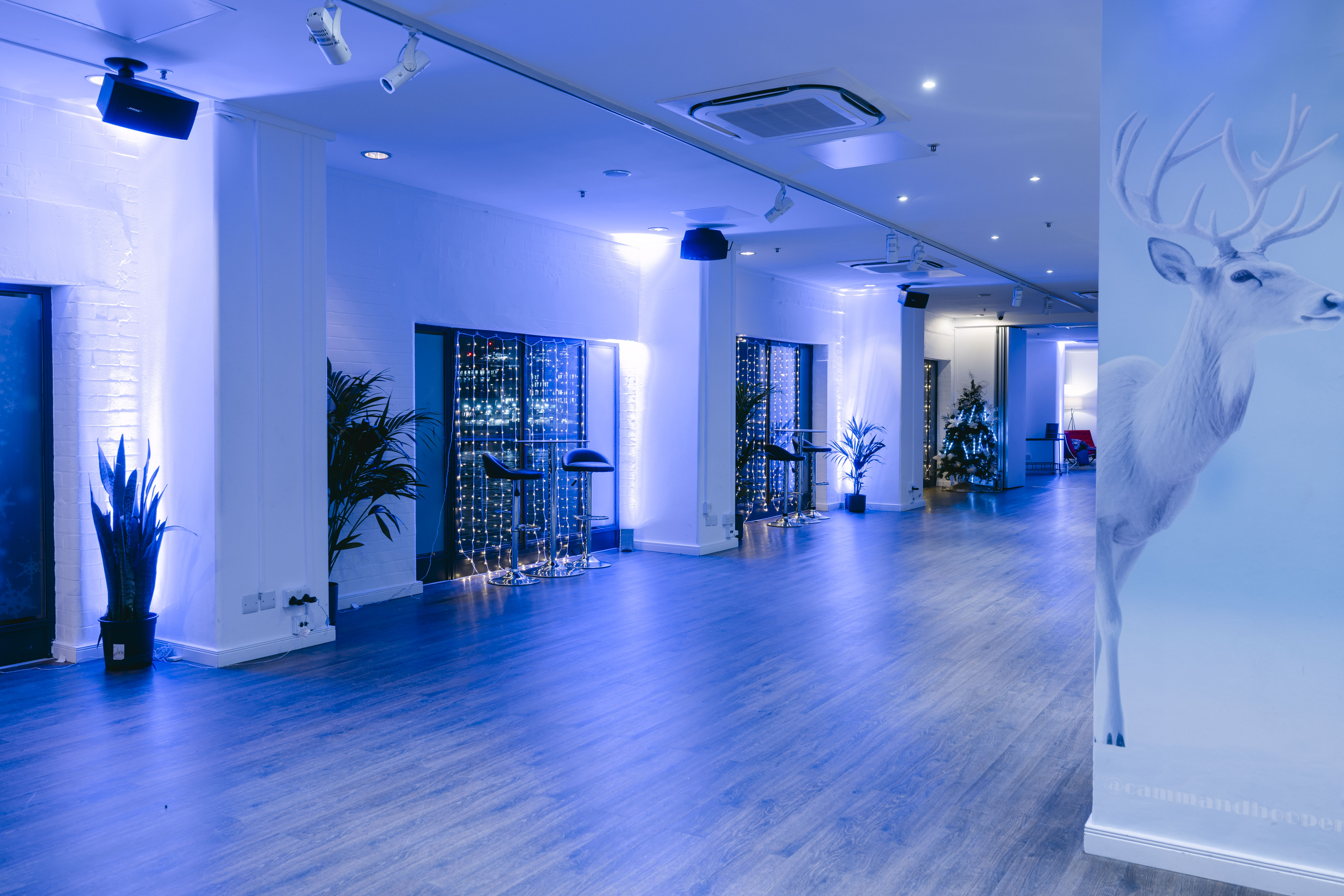 Winterland Christmas - jkcd5klhxou.jpg