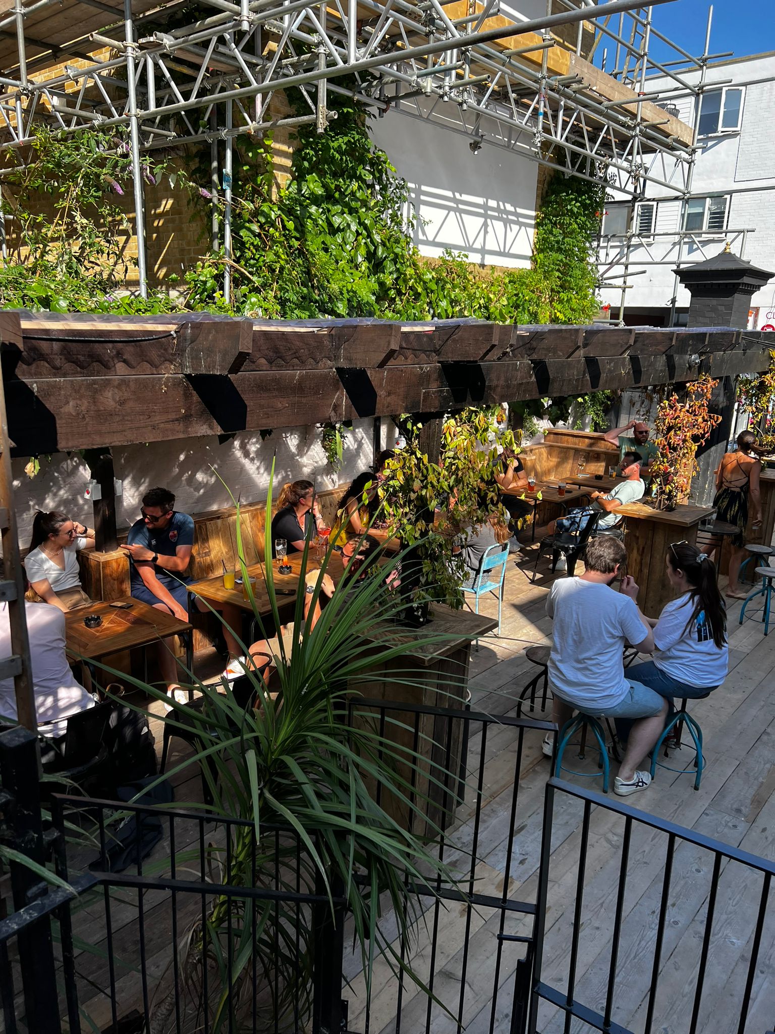 Wolfpack Full Venue  - df51lcpquo3.jpg