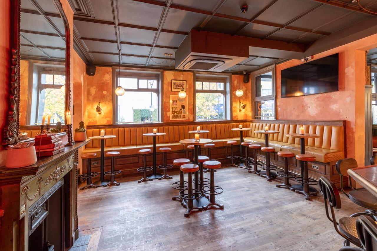 Wolfpack Full Venue  - xlcwsqrhyab.jpg