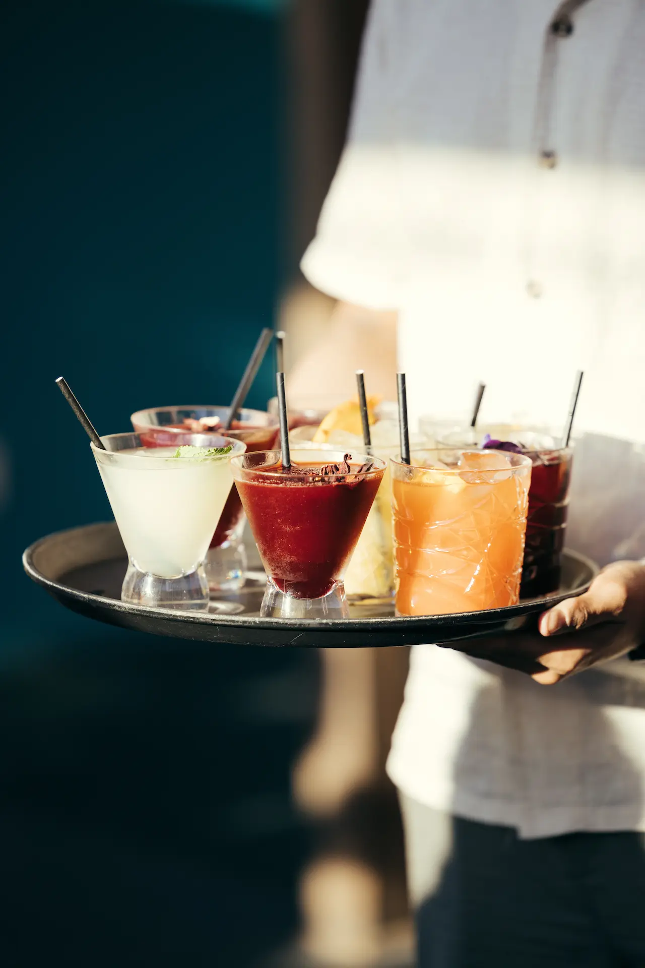 Bougainvillea Gallery - dba78978-b2d0-4168-b654-75d9c9f4b866.png