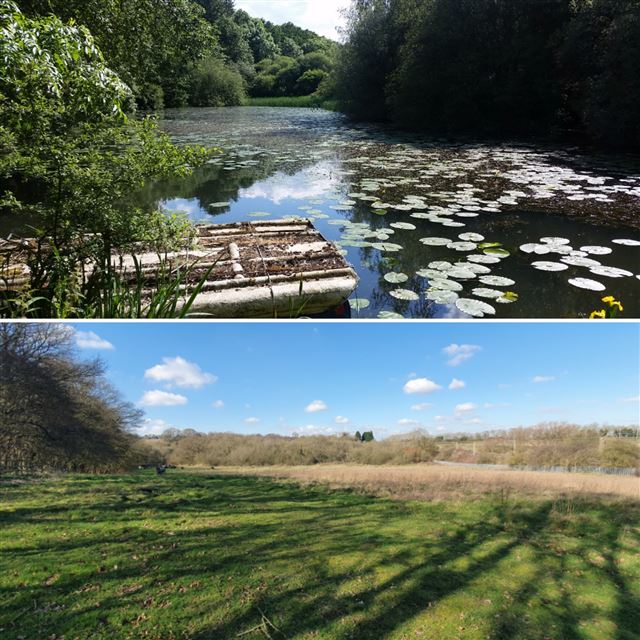 Serene outdoor event space in Northamptonshire with lush greenery and tranquil water.