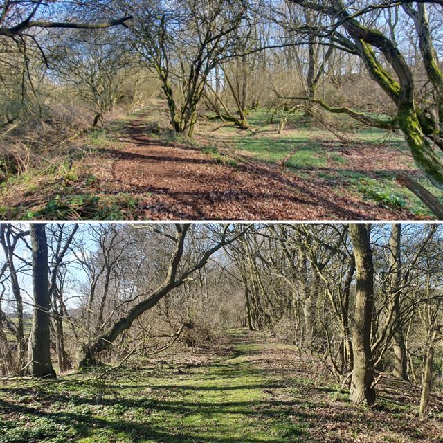 Serene outdoor venue in Northamptonshire for team-building retreats and workshops.