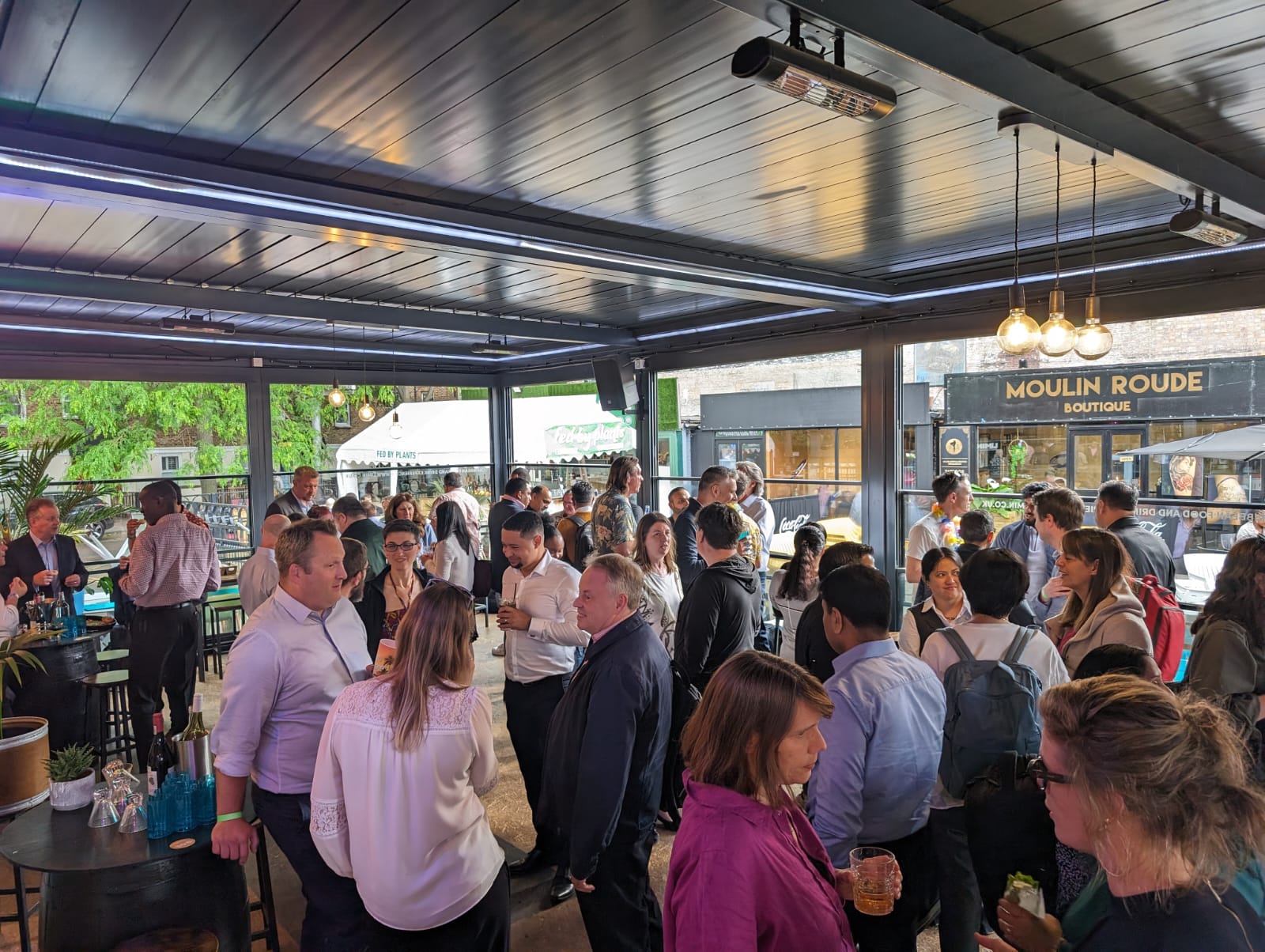 Bougainvillea Gallery - l5keyfzhipv.jpg