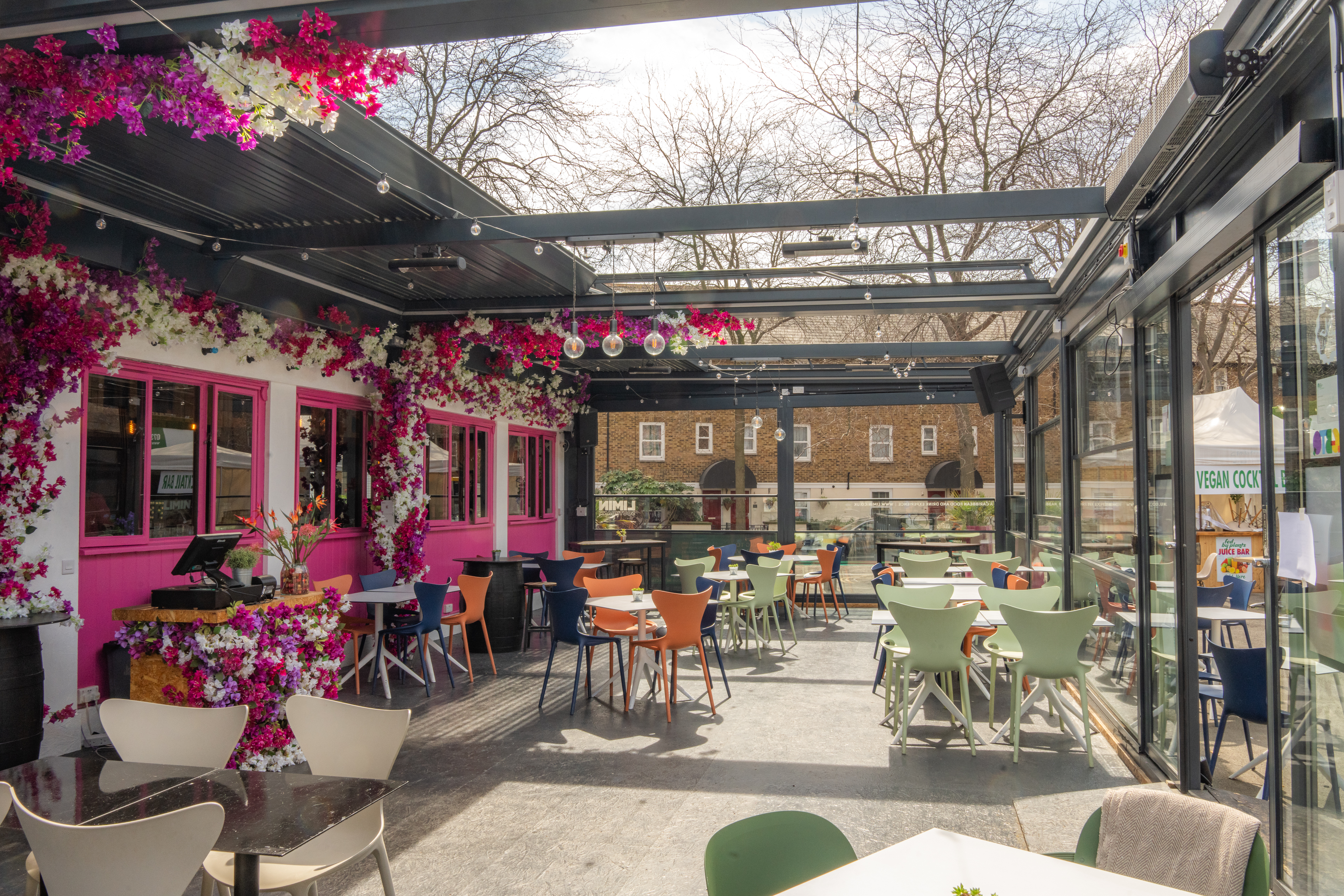 Bougainvillea Gallery - z1dkhrm1gsr.jpg