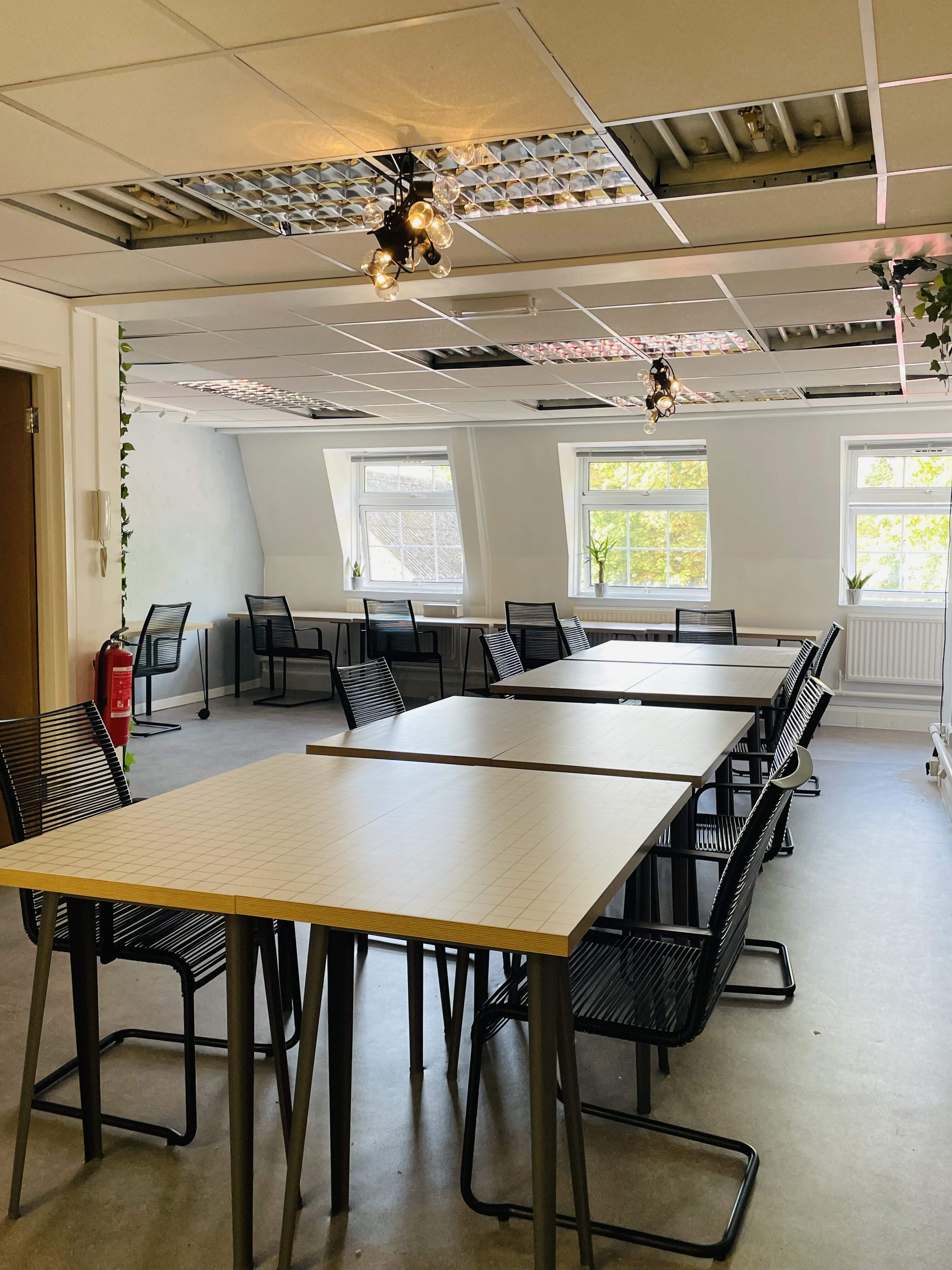 Versatile meeting space with natural light, ideal for workshops and group sessions.