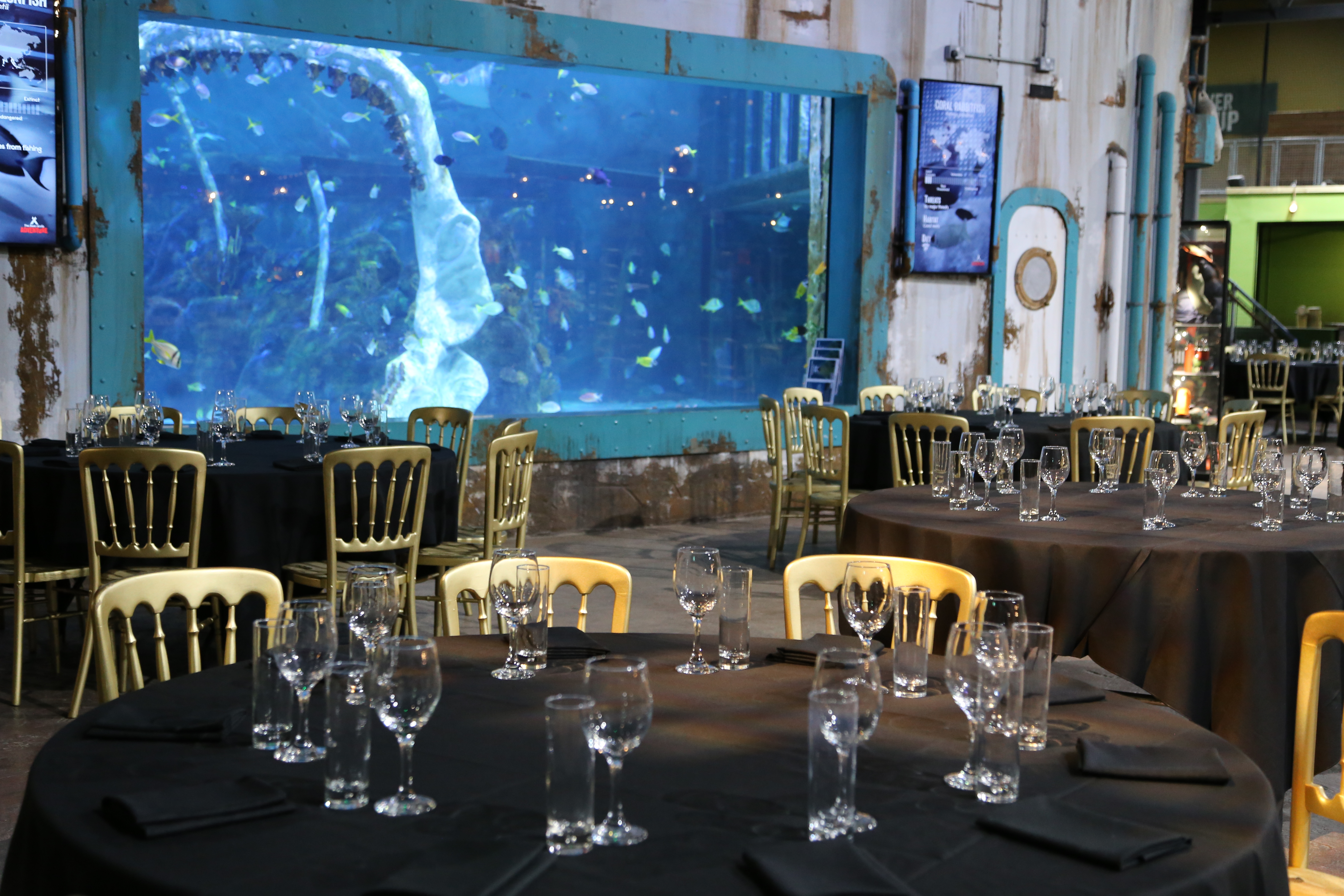 The Bear Grylls Adventure - 30m2aytxfgy.JPG