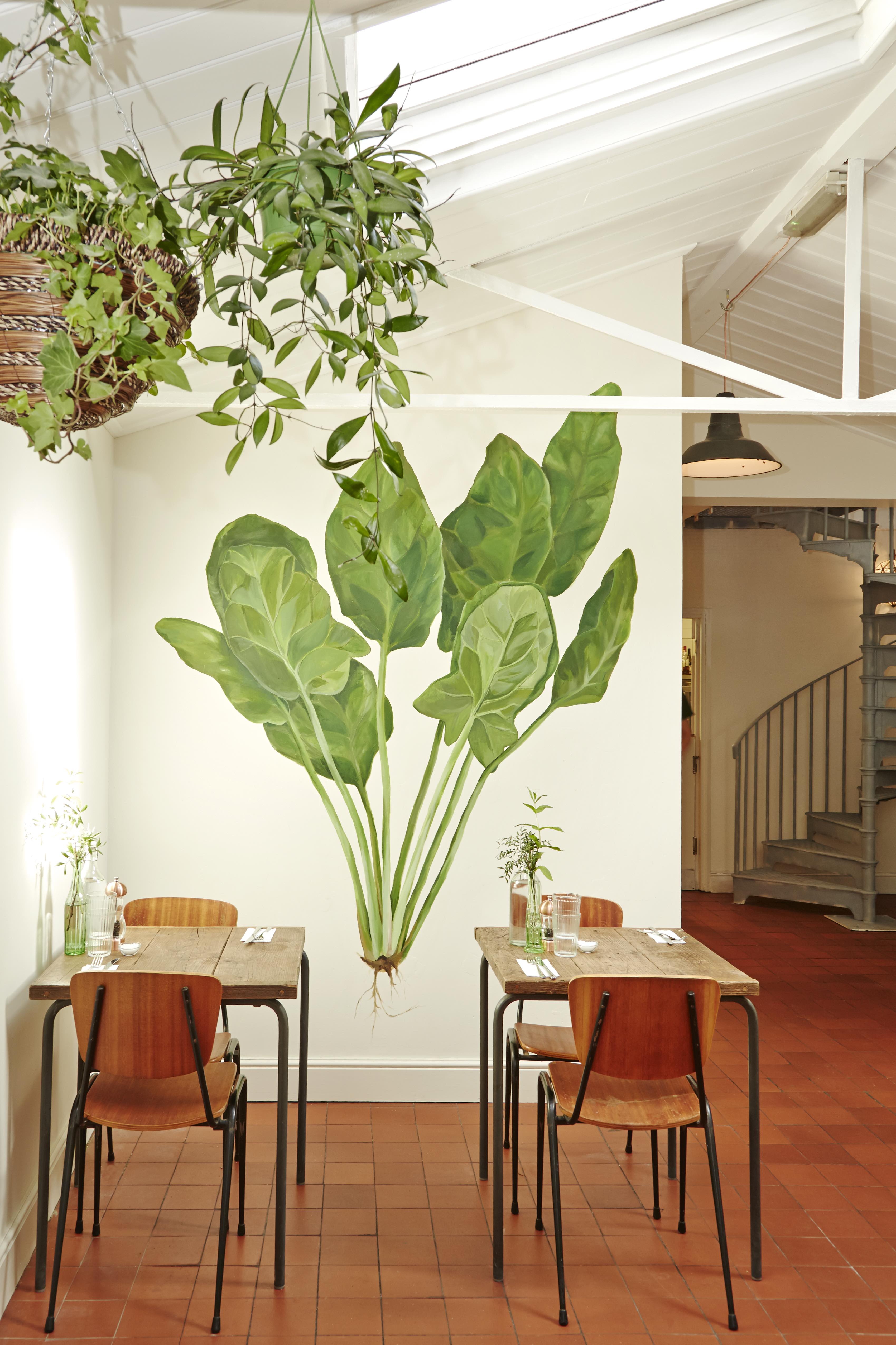Vibrant plant mural at Spinach East Dulwich, perfect for events and meetings.