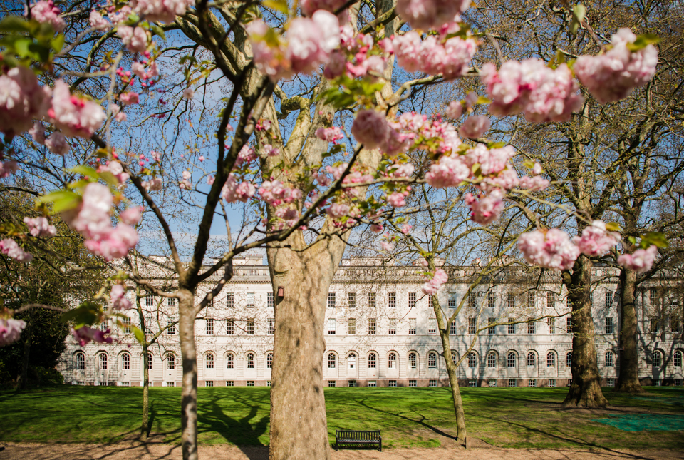 Summer Events on the North Lawn - 1b2aezmphfq.jpeg