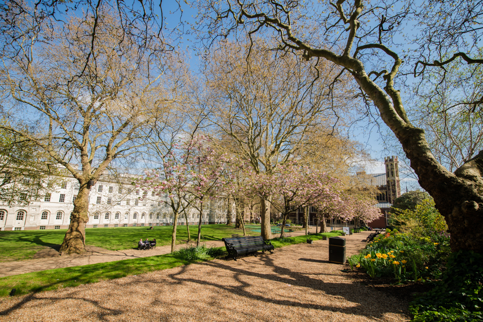 Summer Events on the North Lawn - 53mcmk45mx2.jpeg