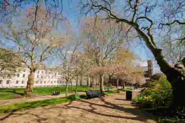 Honourable Society of Lincoln's Inn