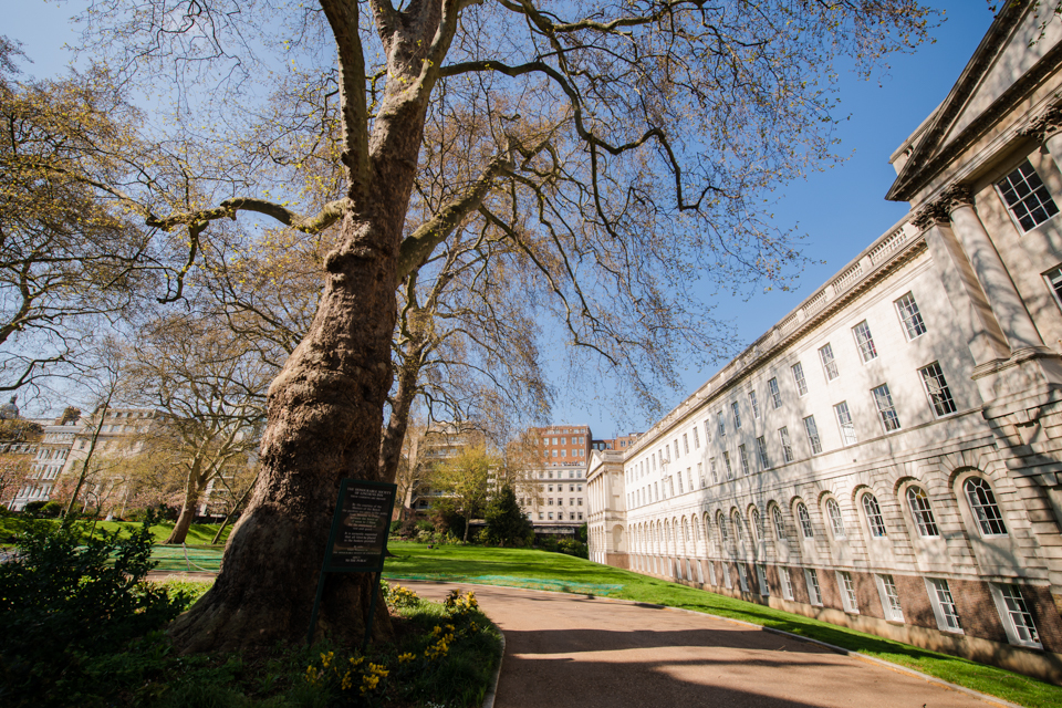 Summer Events on the North Lawn - i4y5nppxtbz.jpeg