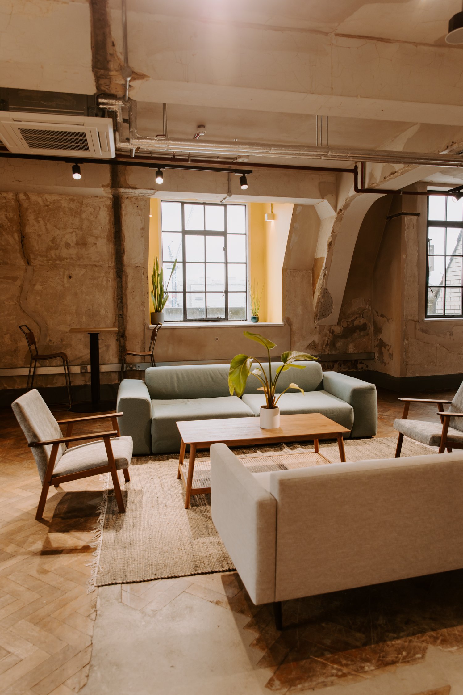 Stylish meeting space with natural light and greenery for informal gatherings.