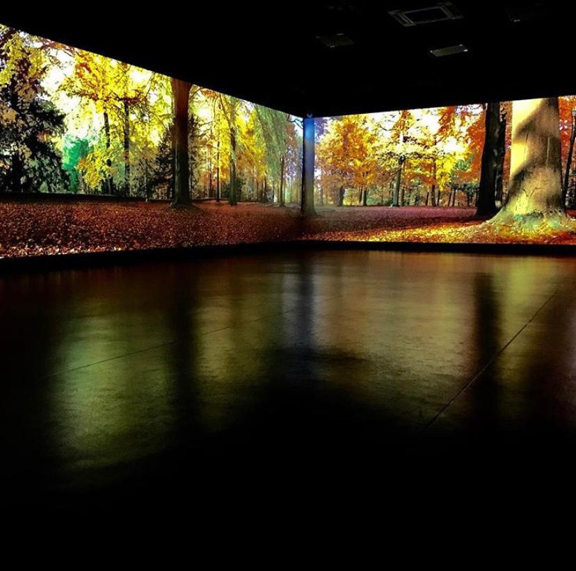 Immersive Studios event space with autumn forest projections, ideal for workshops and gatherings.