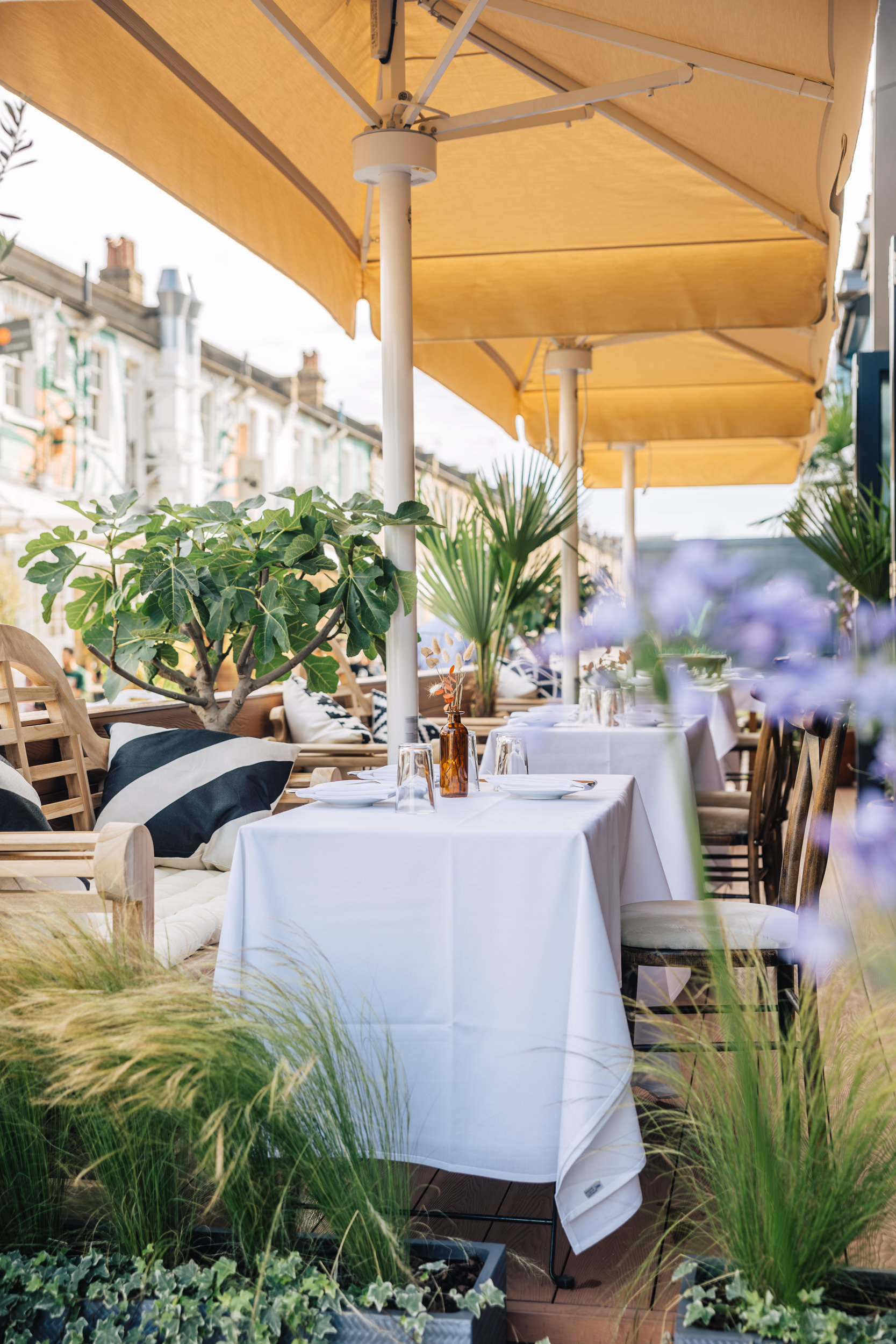 Main Room - vlrf5xxa3ft.jpg