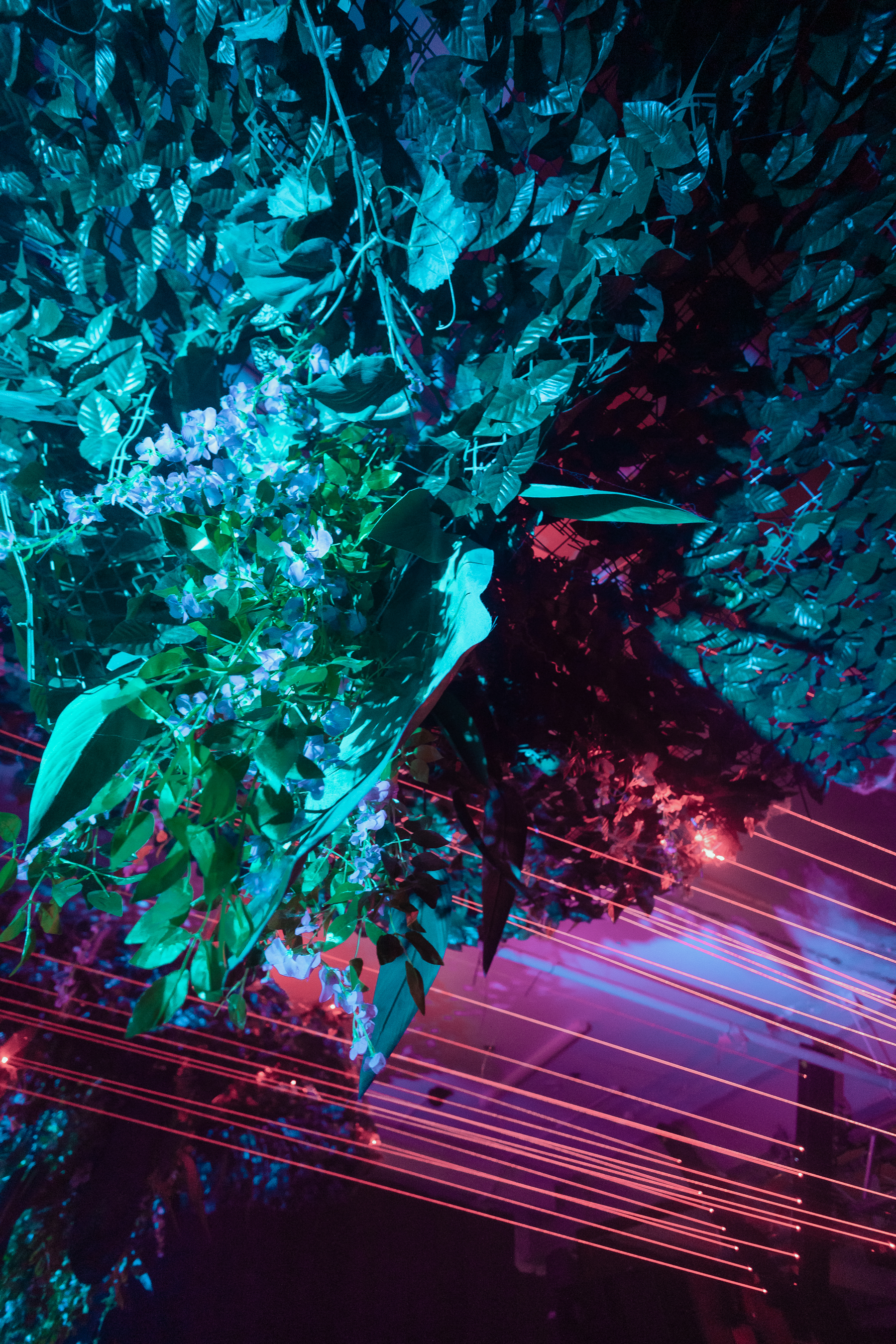 Vibrant event space at Hot House with lush greenery and dynamic lighting for immersive experiences.