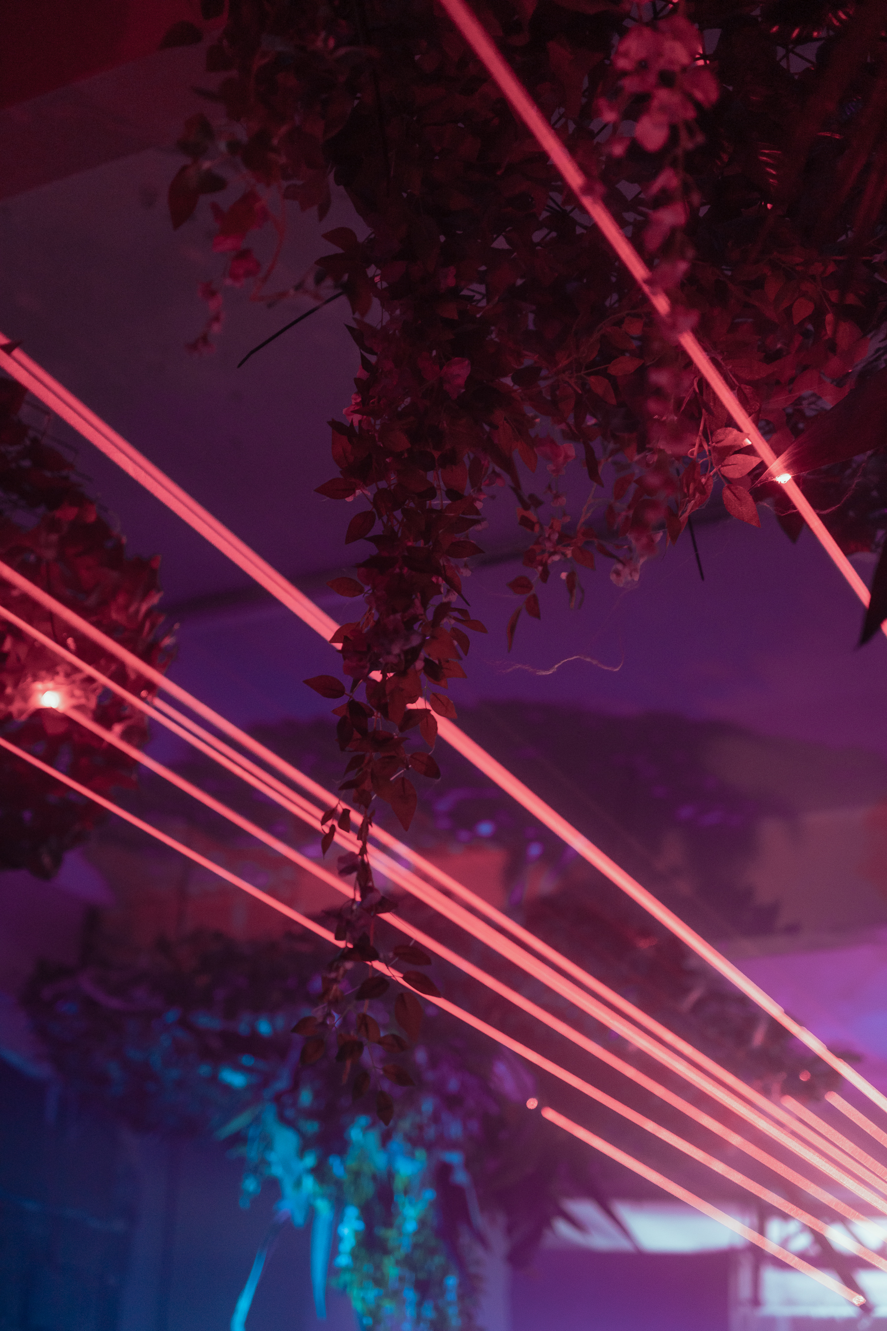 Hot House  - 0veg1klbal0.jpg