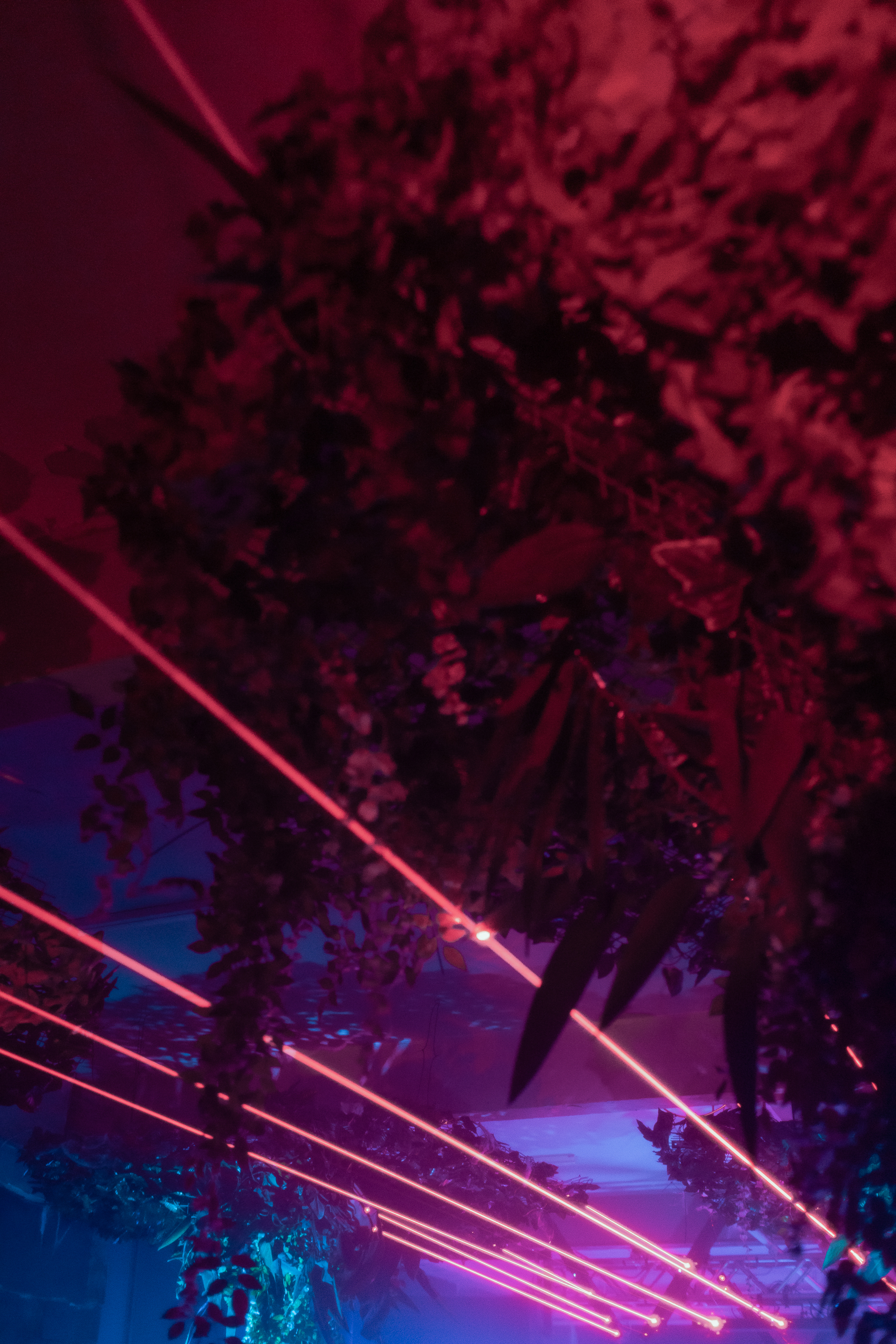 Hot House - an5g54xgi35.jpg