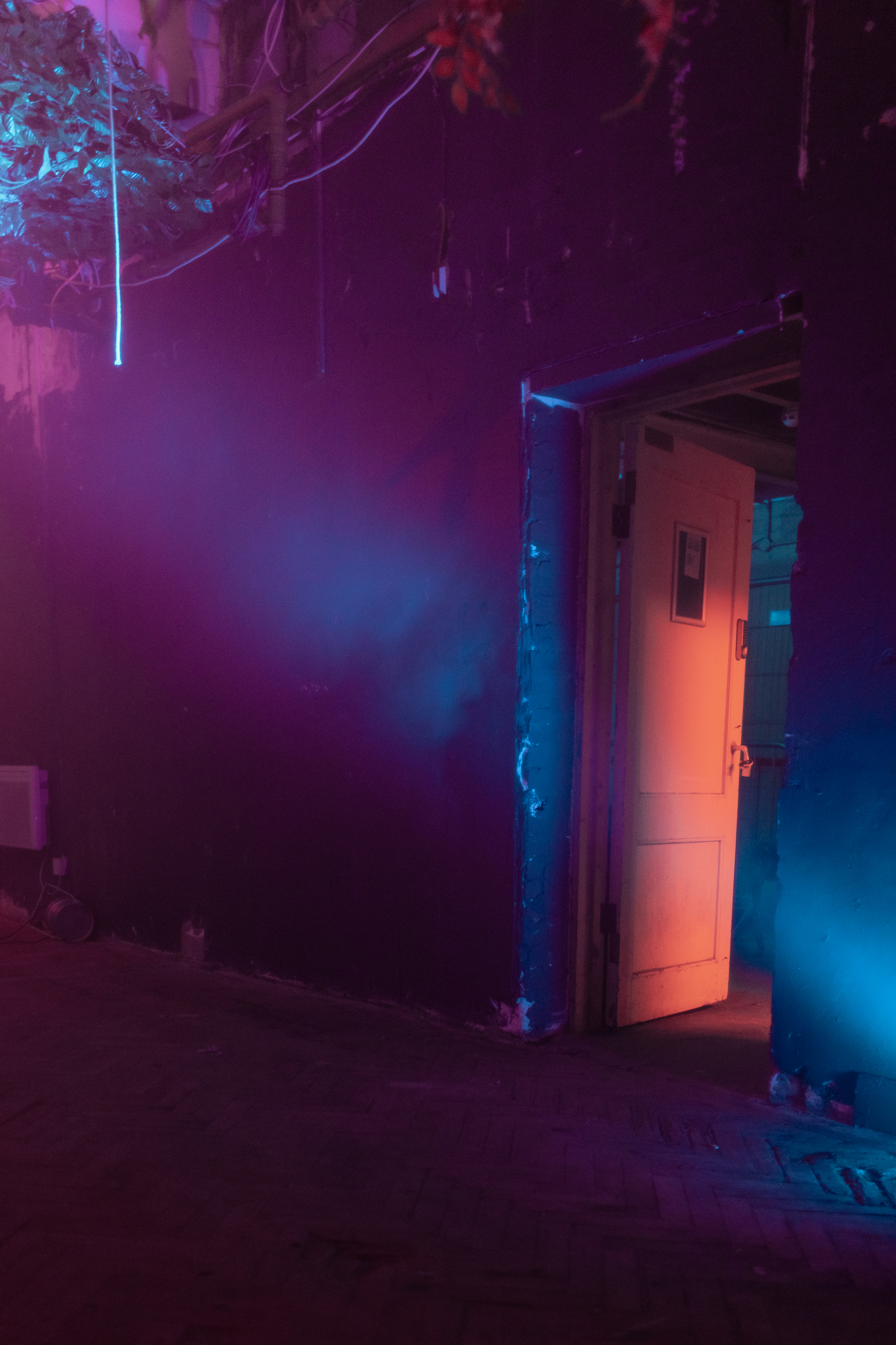 Vibrant doorway at Hot House, ideal for themed events and networking gatherings.