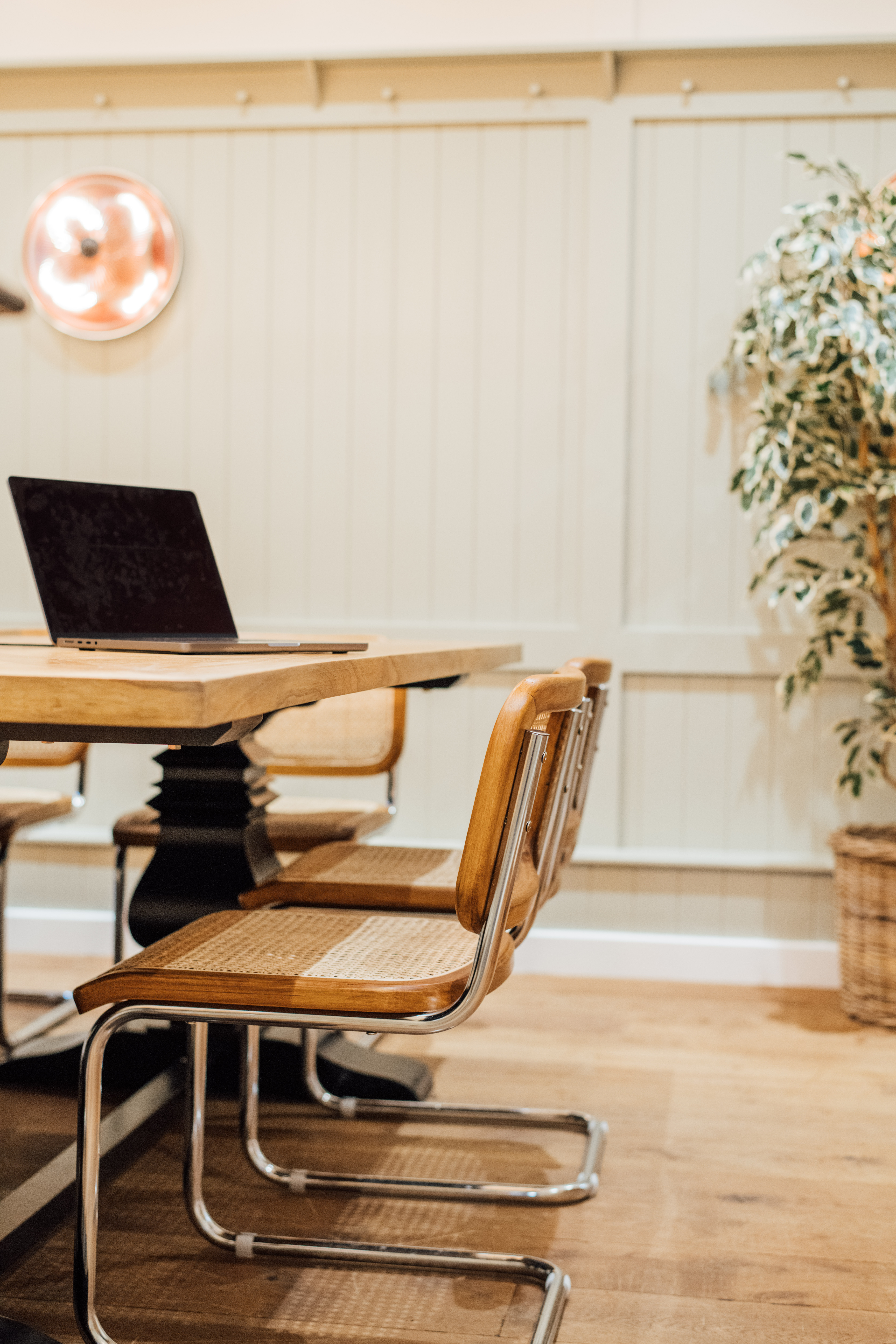 Liberica - ctocmj2kiw4.jpg