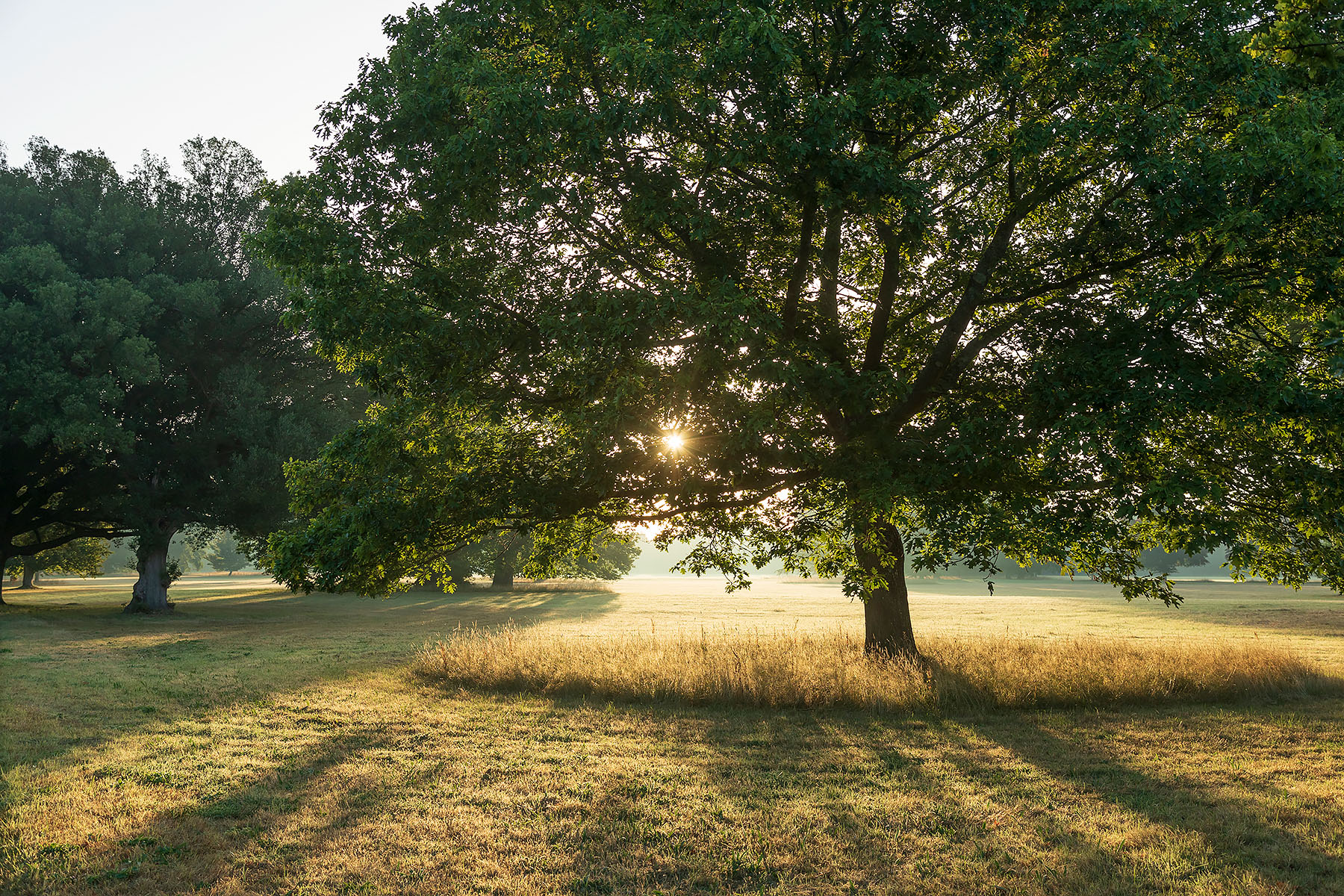 Broadlands Park - q4hirbah1iz.jpg