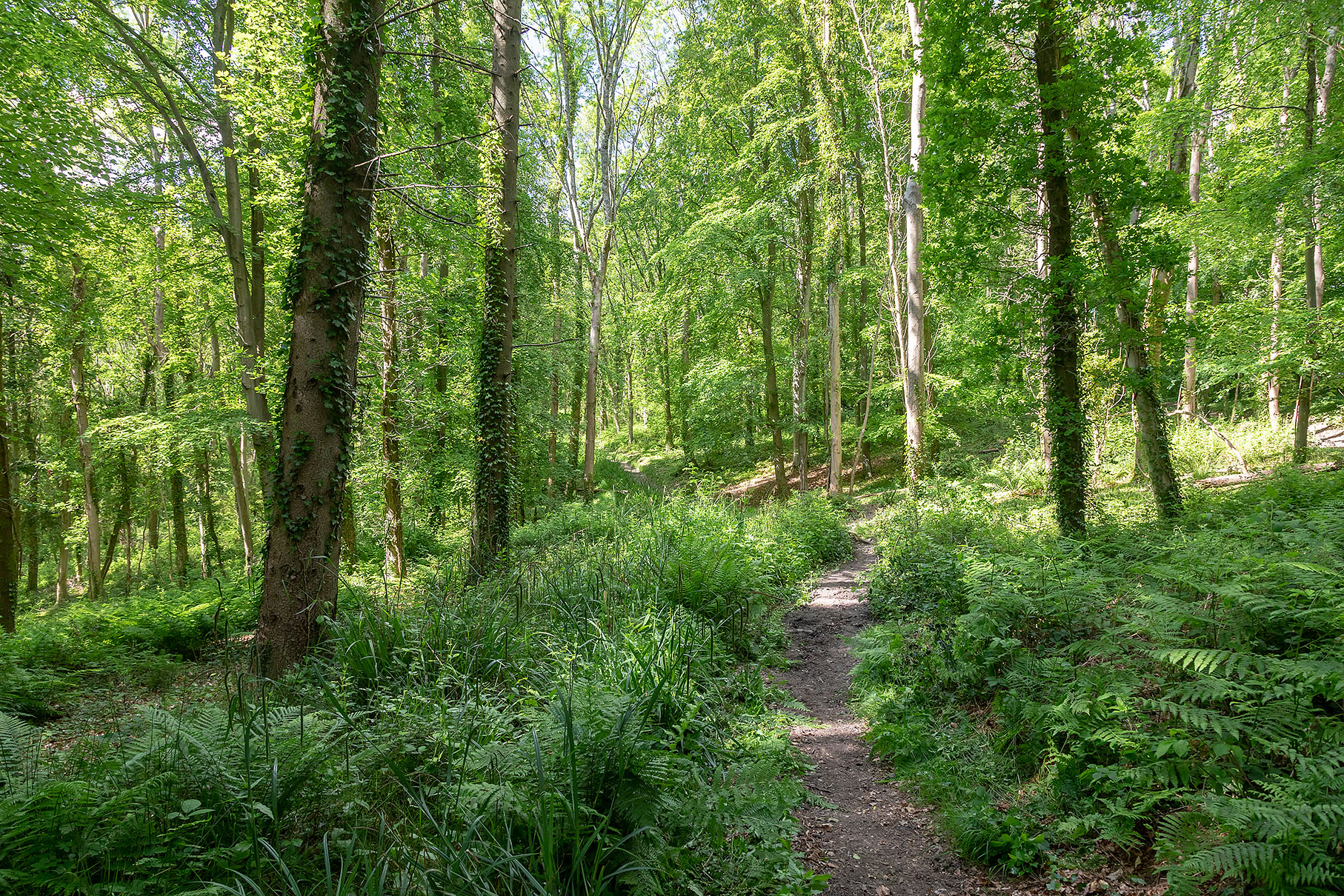 Broadlands Park - swtvua3ko1j.jpg