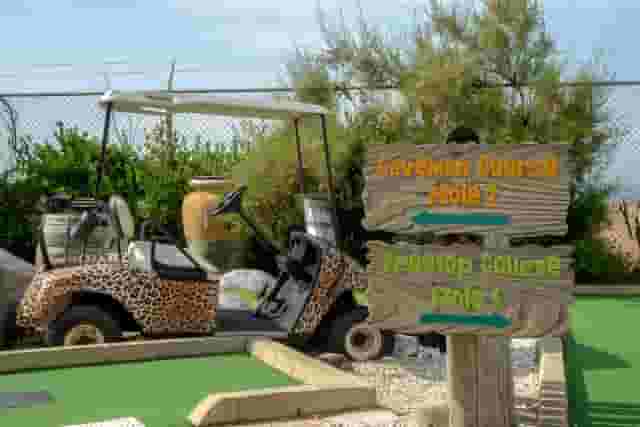 Jungle Rumble Brighton