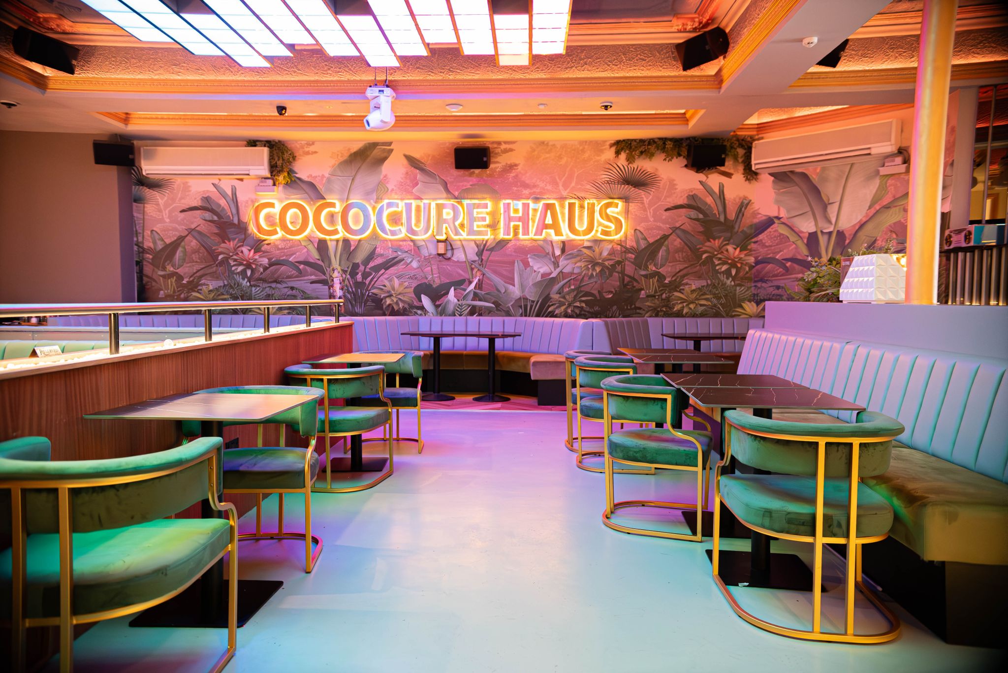 Cococure Haus event space with modern seating and tropical decor for gatherings.