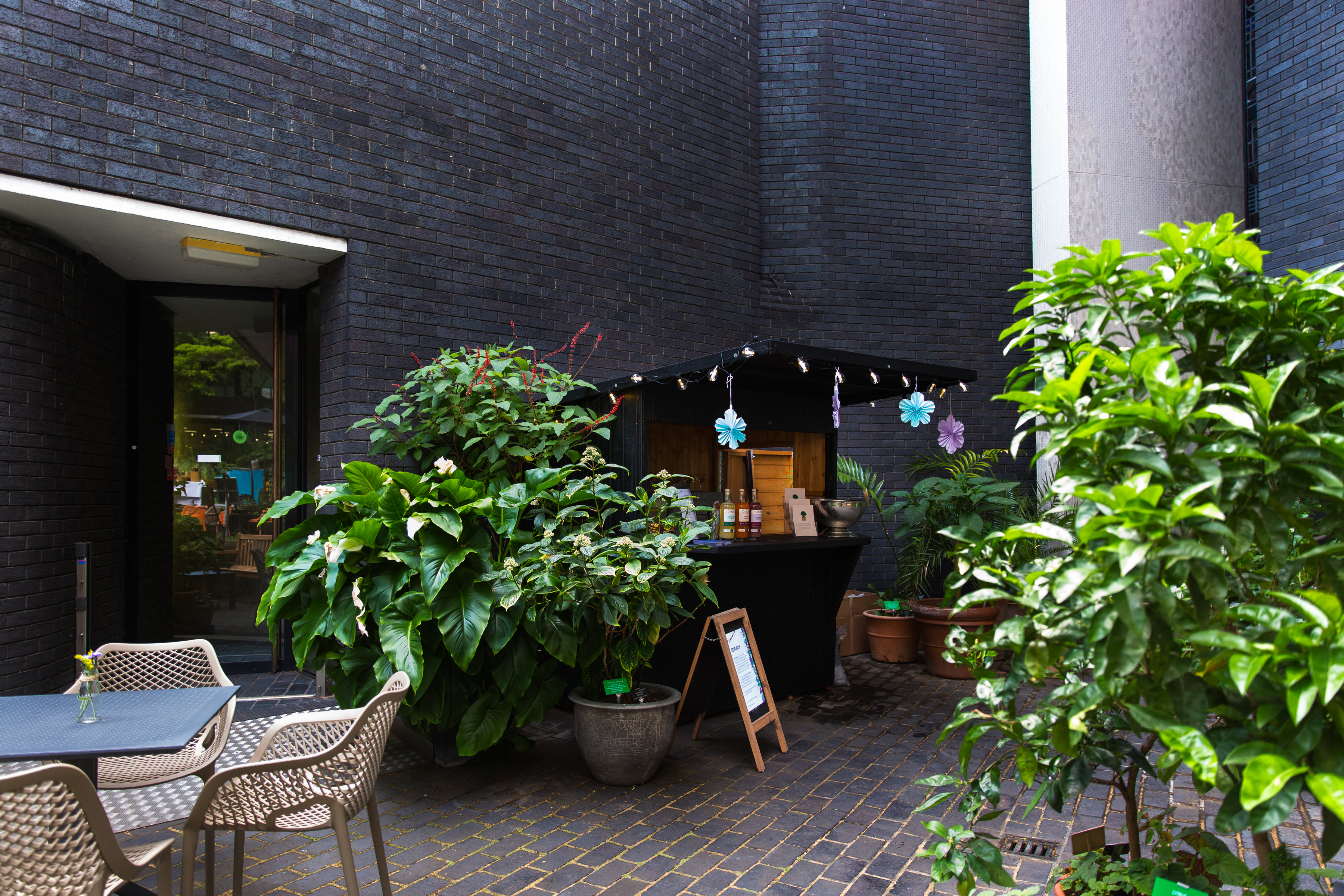 Medicinal Garden at RCP London Events, ideal for networking and breakout sessions.