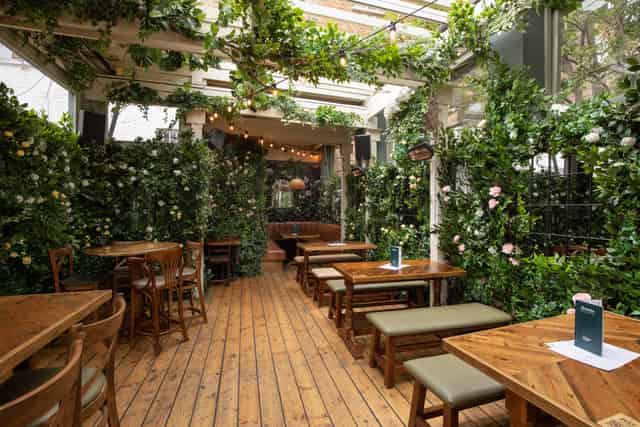 The Garden