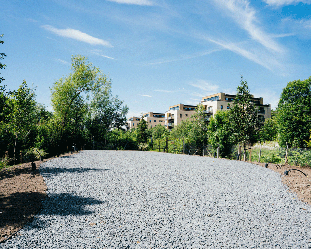 SWG3 SWG3 announces new public garden