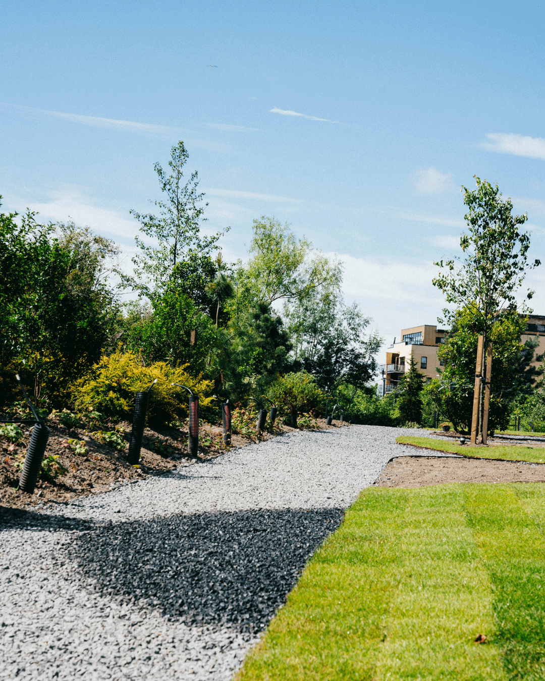 Serene garden with gravel path, perfect for outdoor events and networking.
