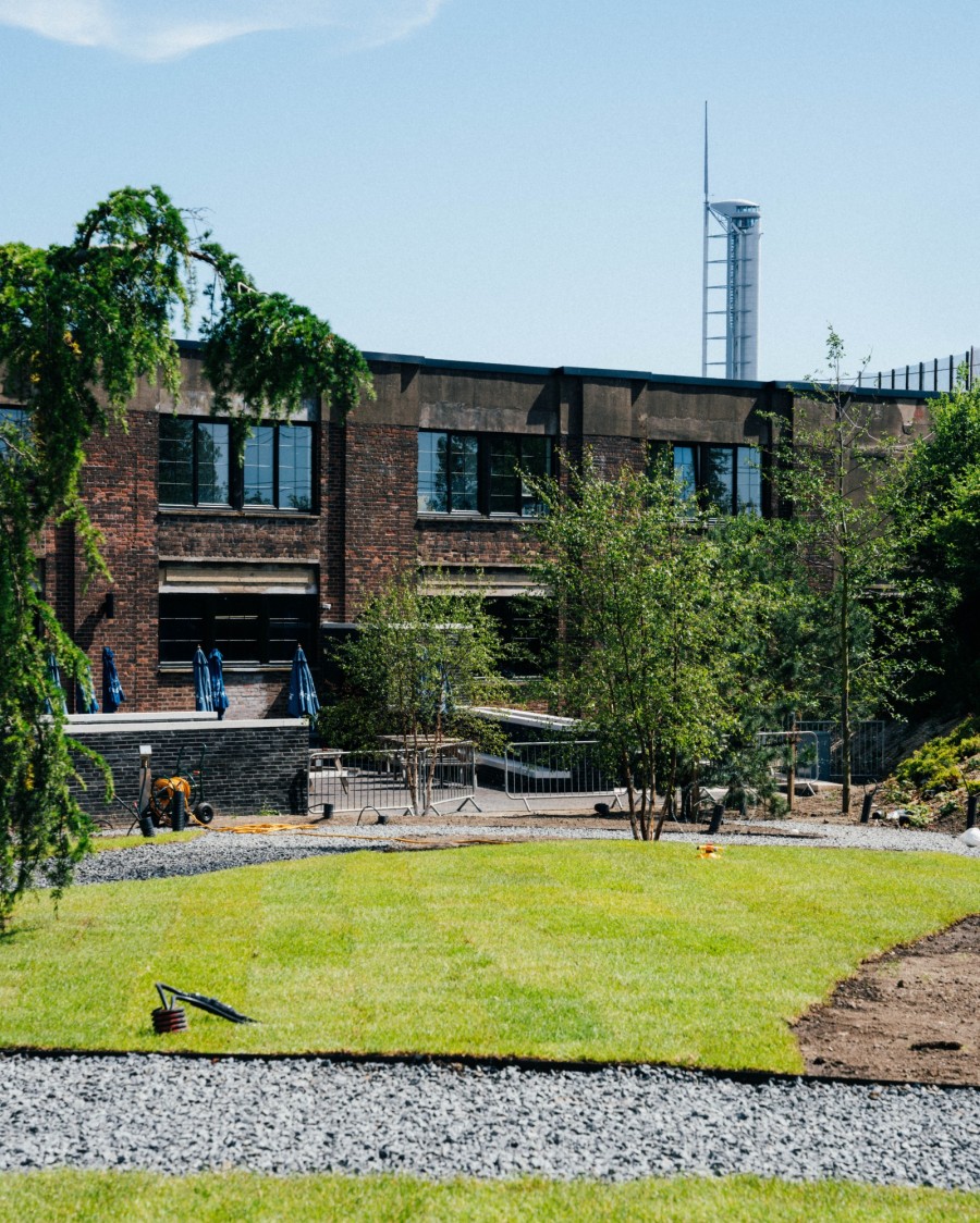 Urban garden emerges from wasteland ...