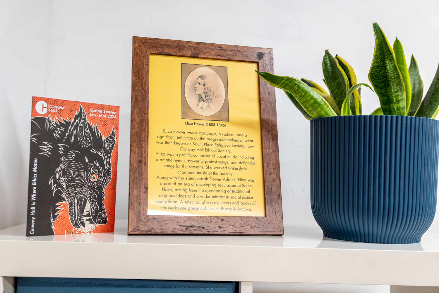 Conway Suite in Conway Hall with framed document, plant for events and meetings.