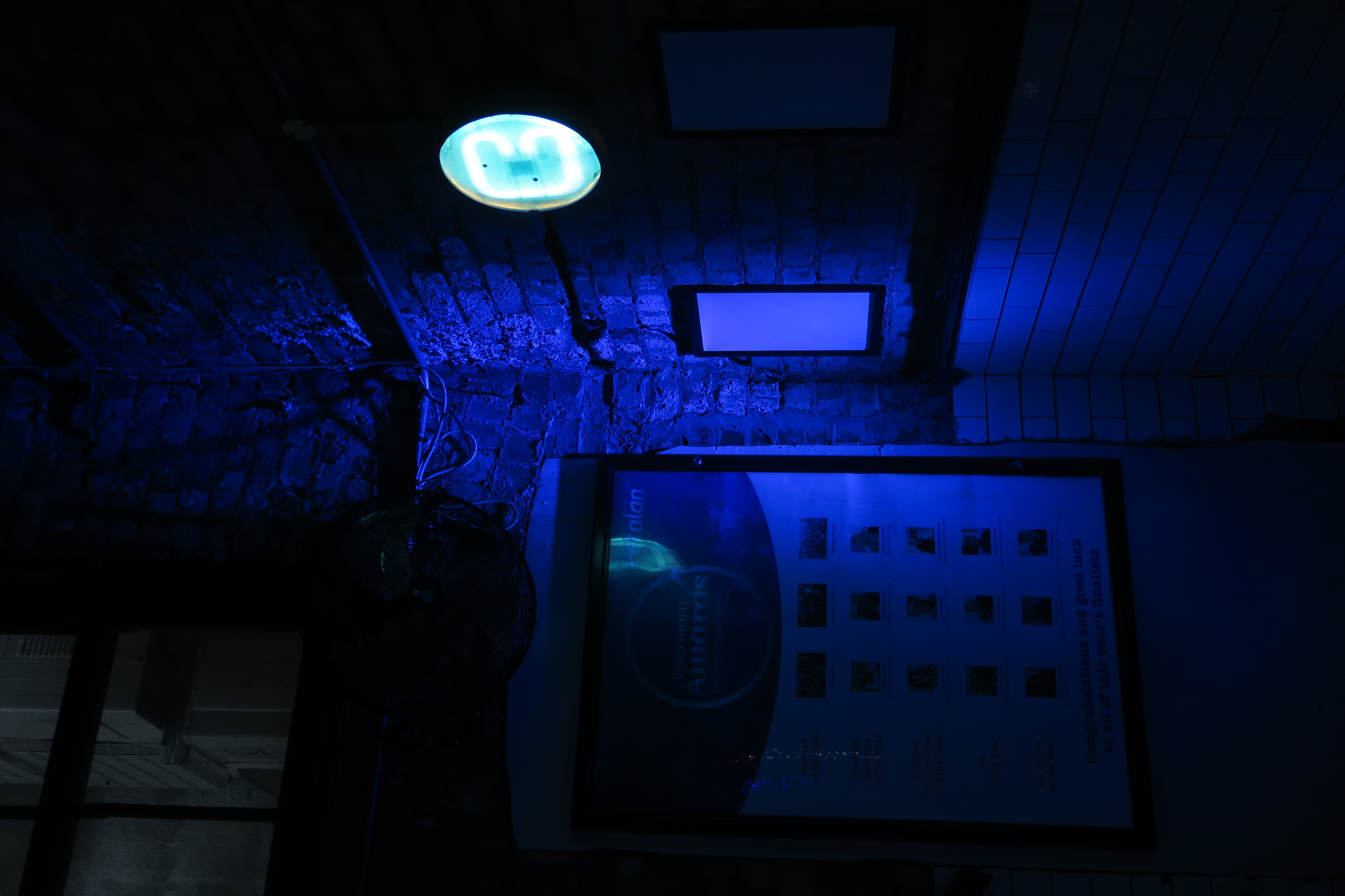 Main Hall and Mezzanine - mqievcfjb0d.JPG