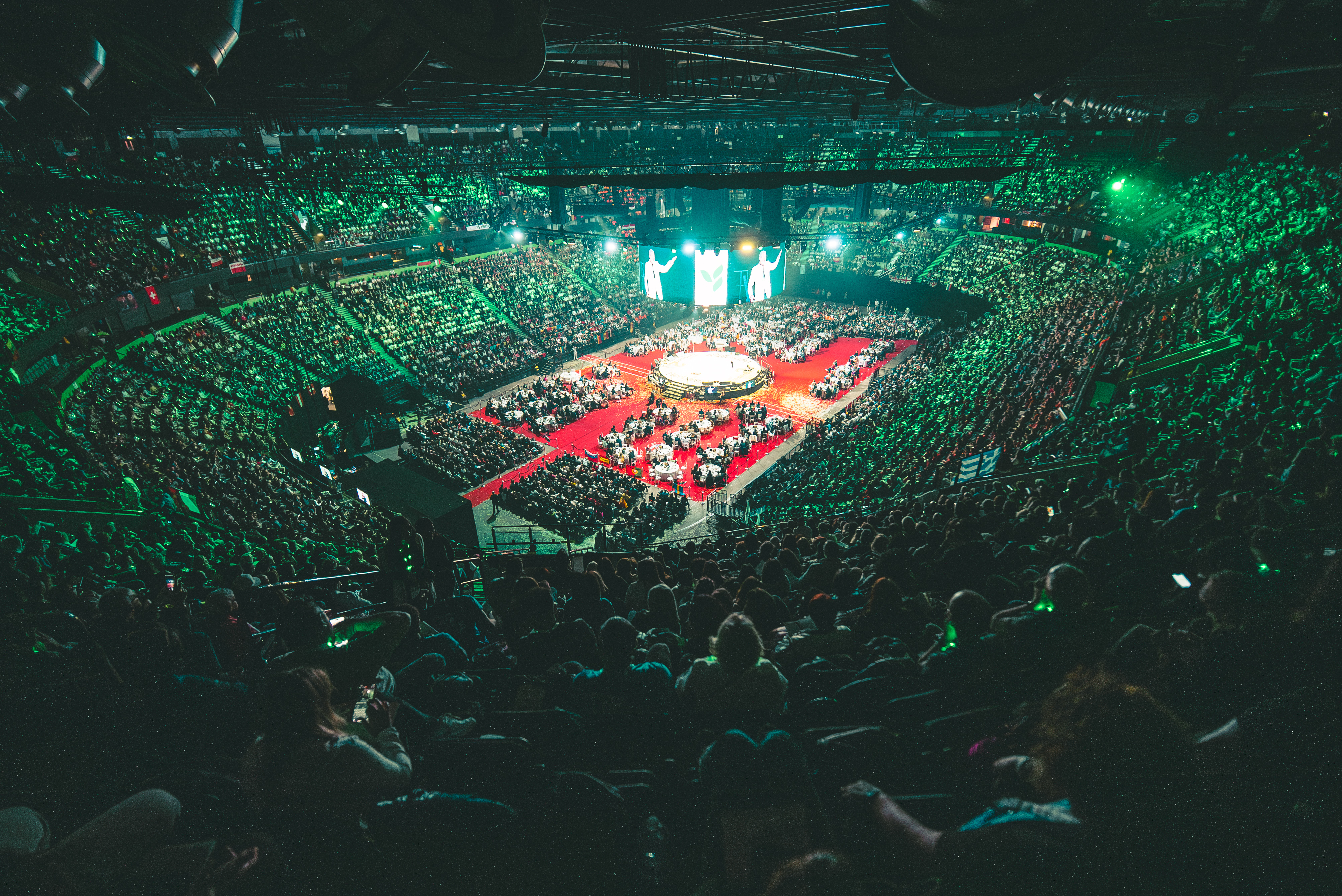 Arena bowl - 13lzkhprbtq.jpg