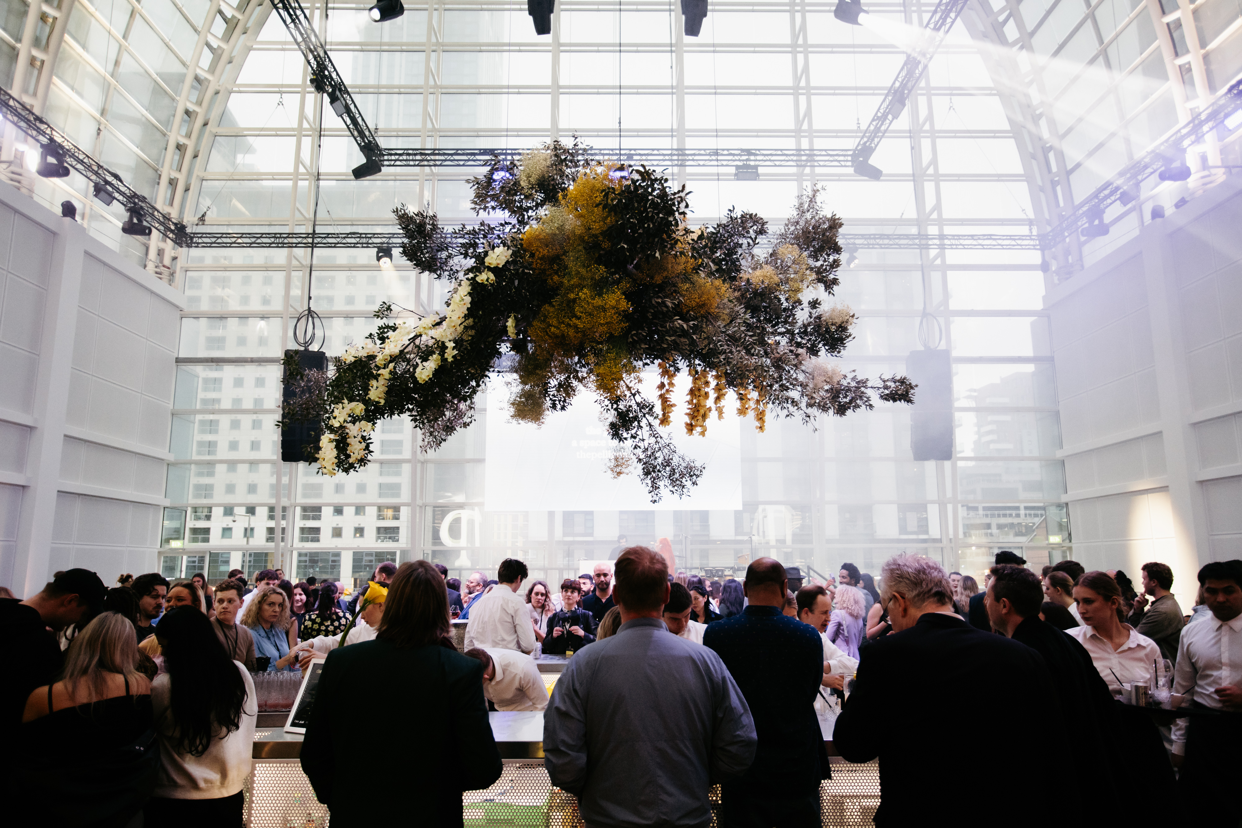 The Pelligon - 24a815b7-1598-4b57-b37e-06299d4d4ac4.JPG