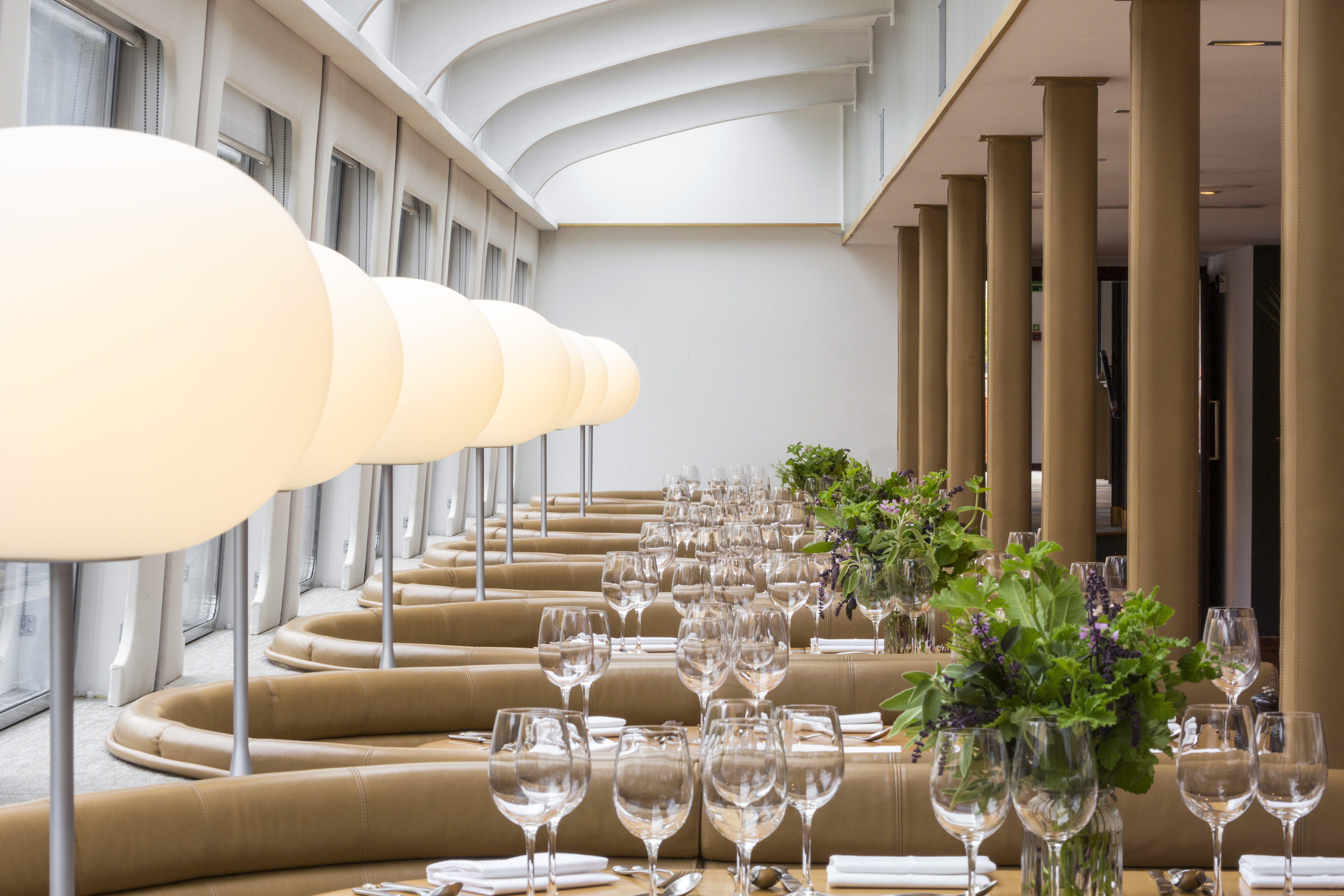 Silver Sturgeon - ua0x0gokox0.jpg