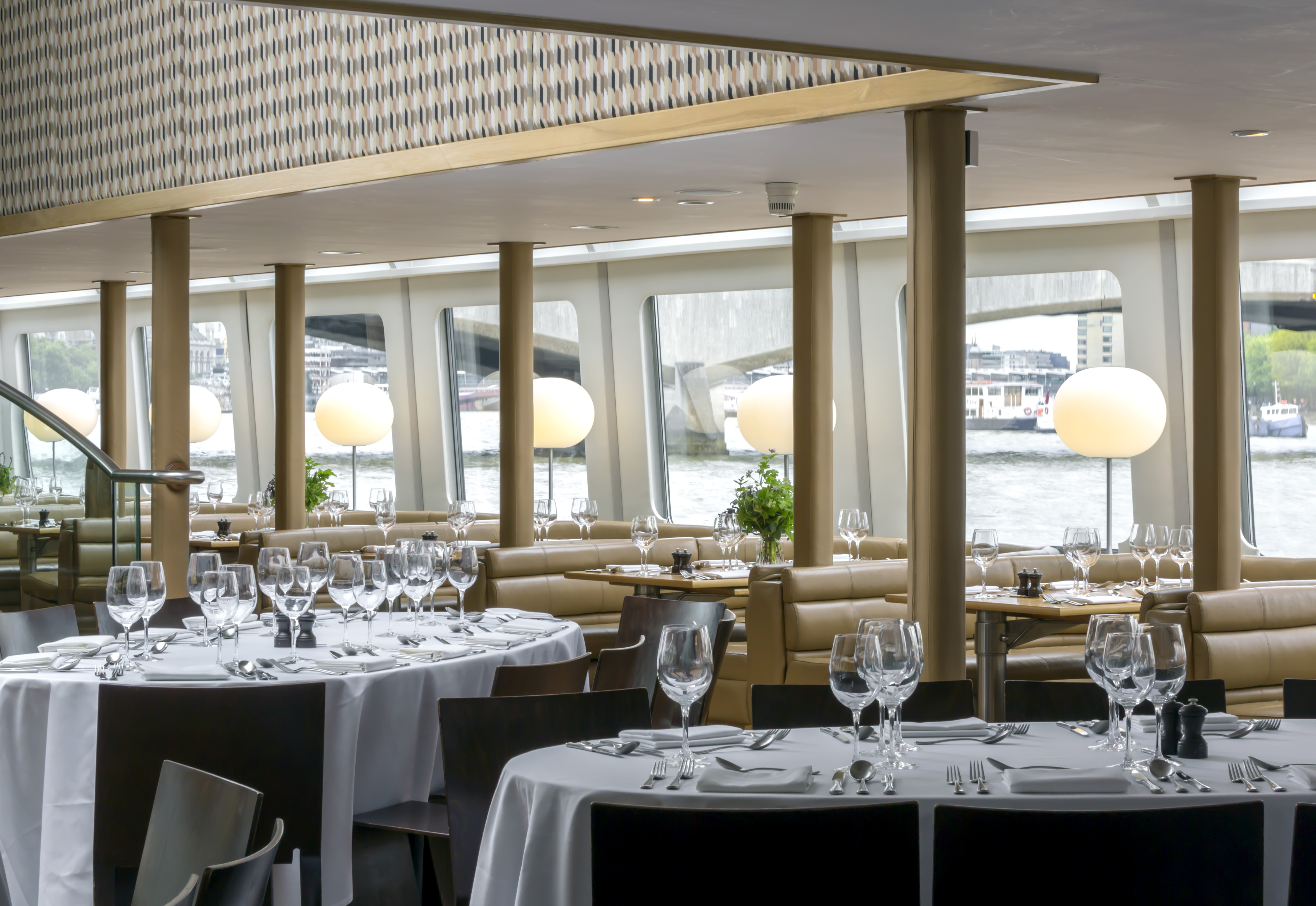 Silver Sturgeon - wfkwtkm3fwh.jpg