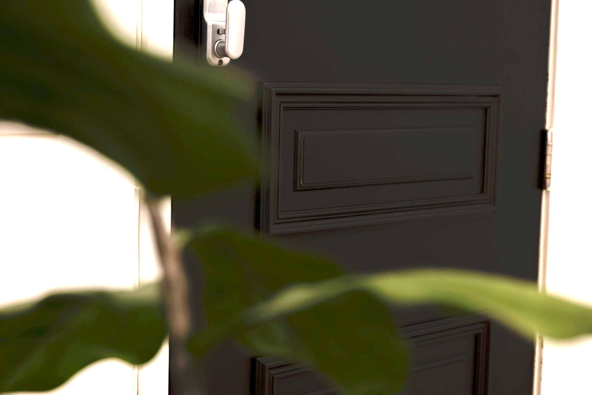 Modern door at RVLT Studios, ideal for meetings and events with inviting greenery.