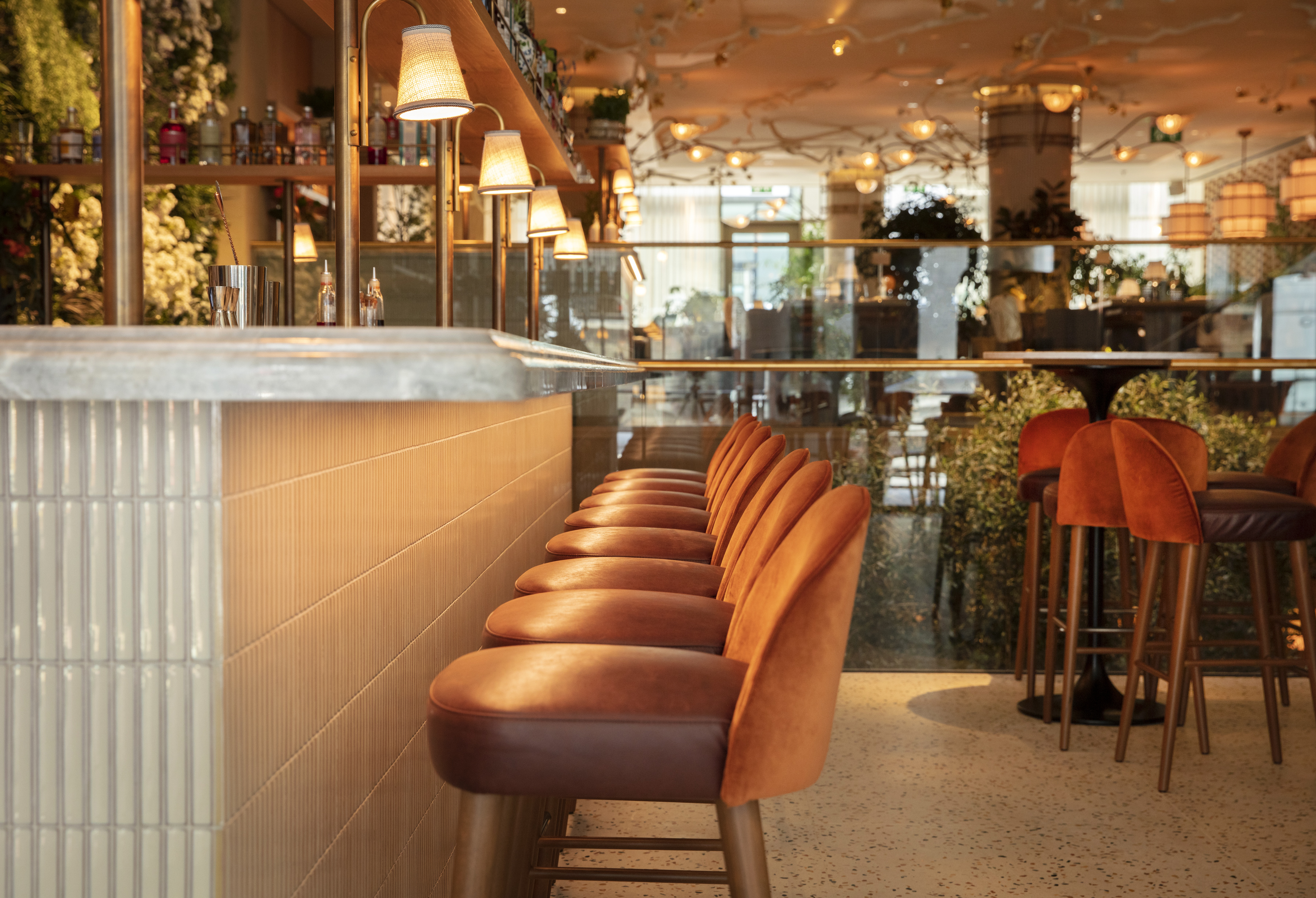 LAVO - m0hu14dcdfc.jpg