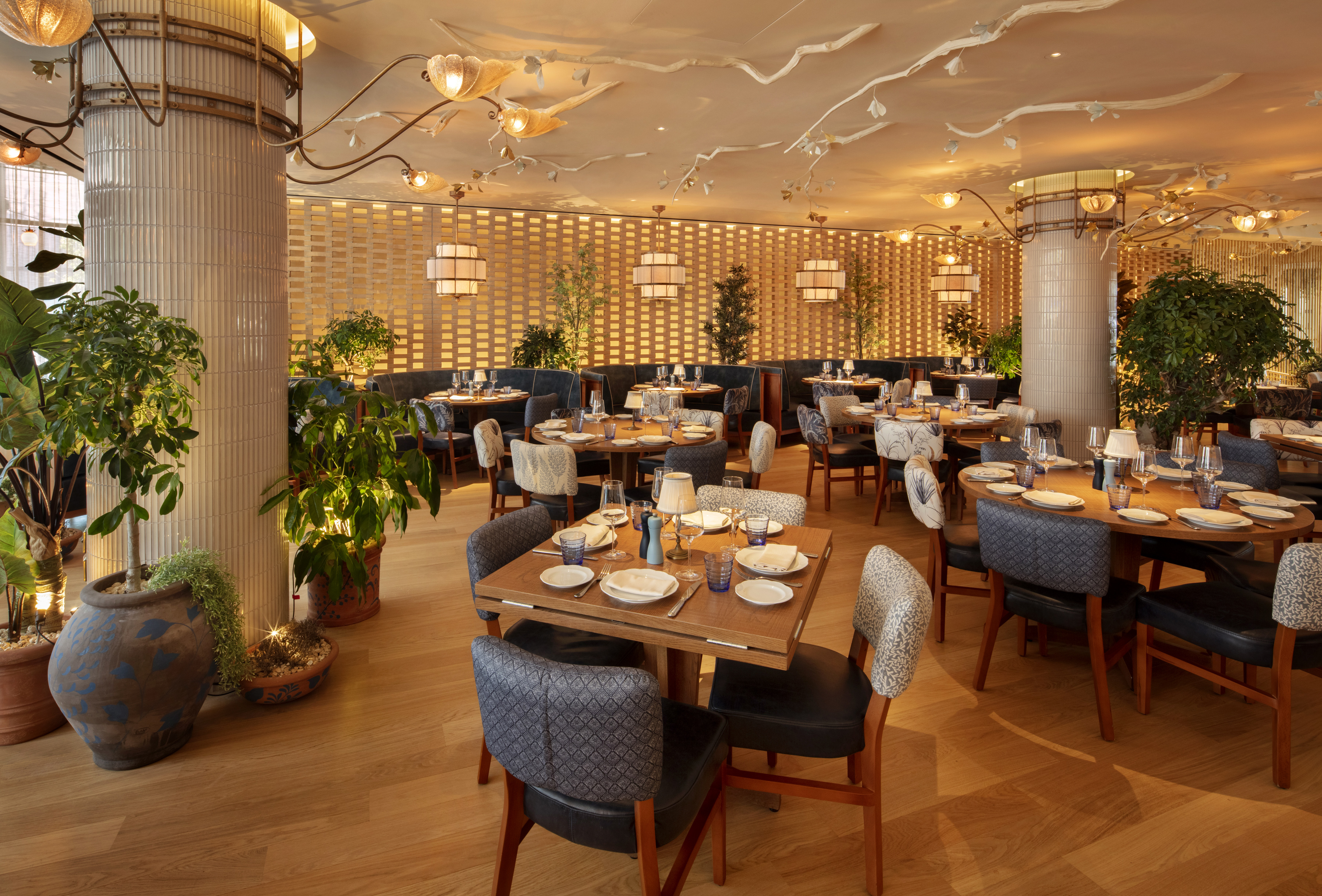 LAVO - oxrgctdvnta.jpg