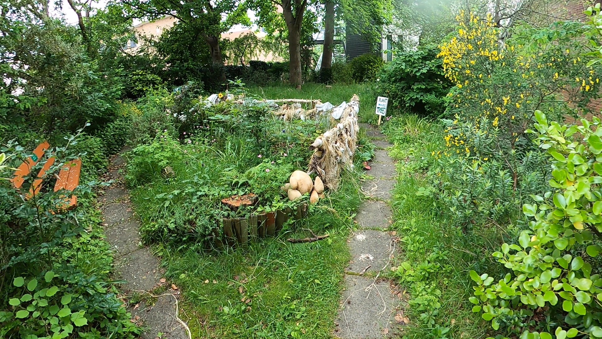 Whole Venue - brlmswl25cf.jpeg