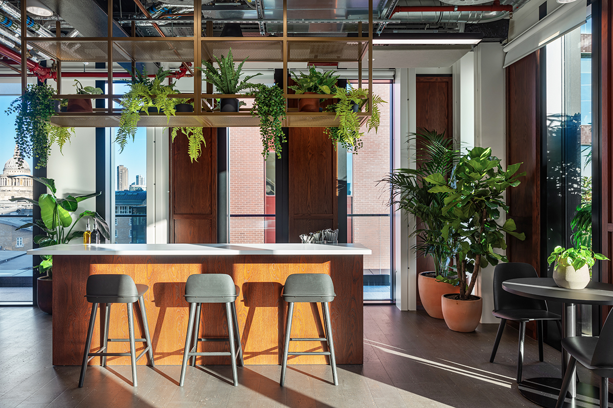 Eighth Floor Lounge and Terrace - halmgtsv450.jpg