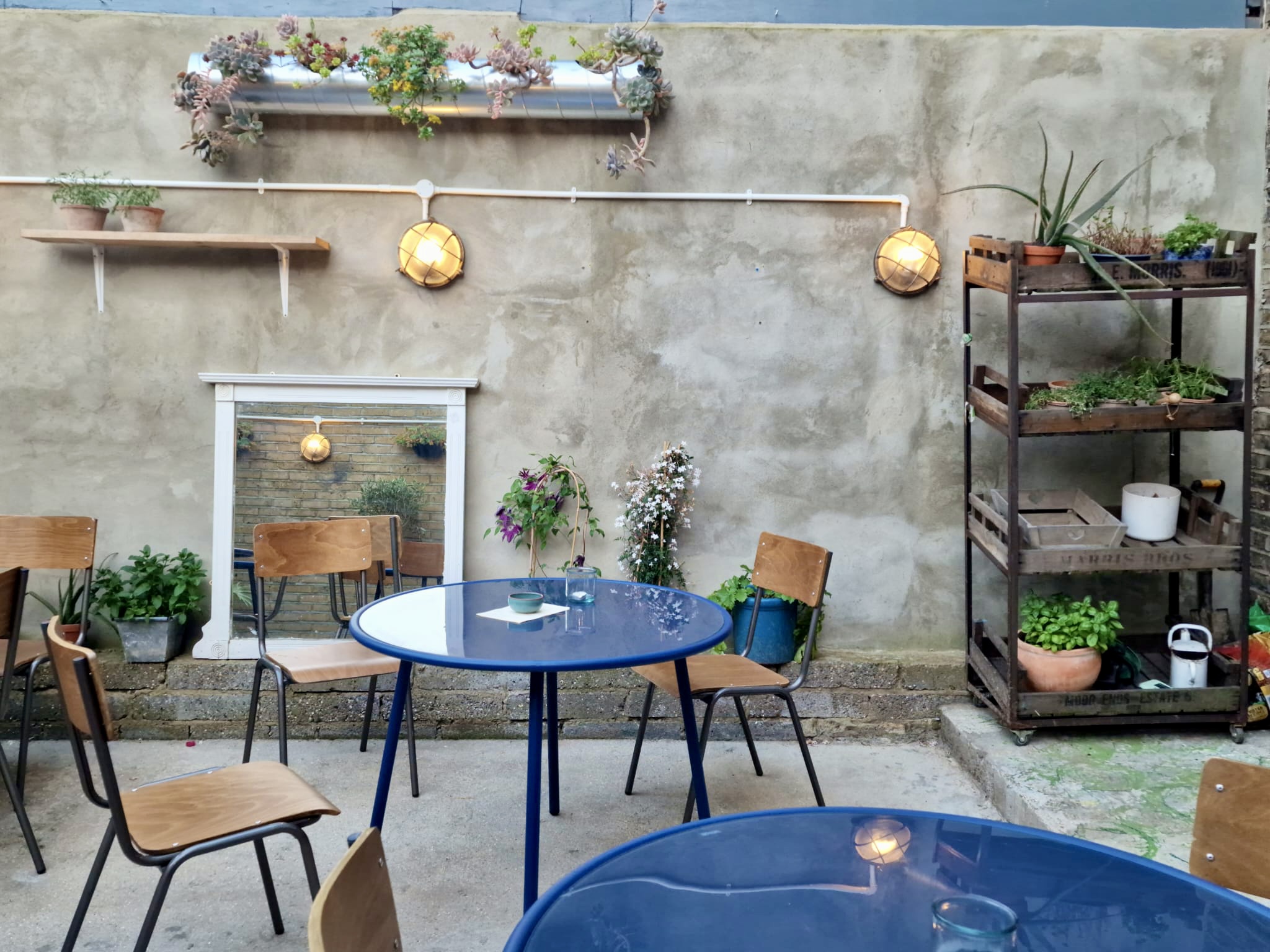 Charming outdoor venue with rustic wall, ideal for intimate gatherings and events.