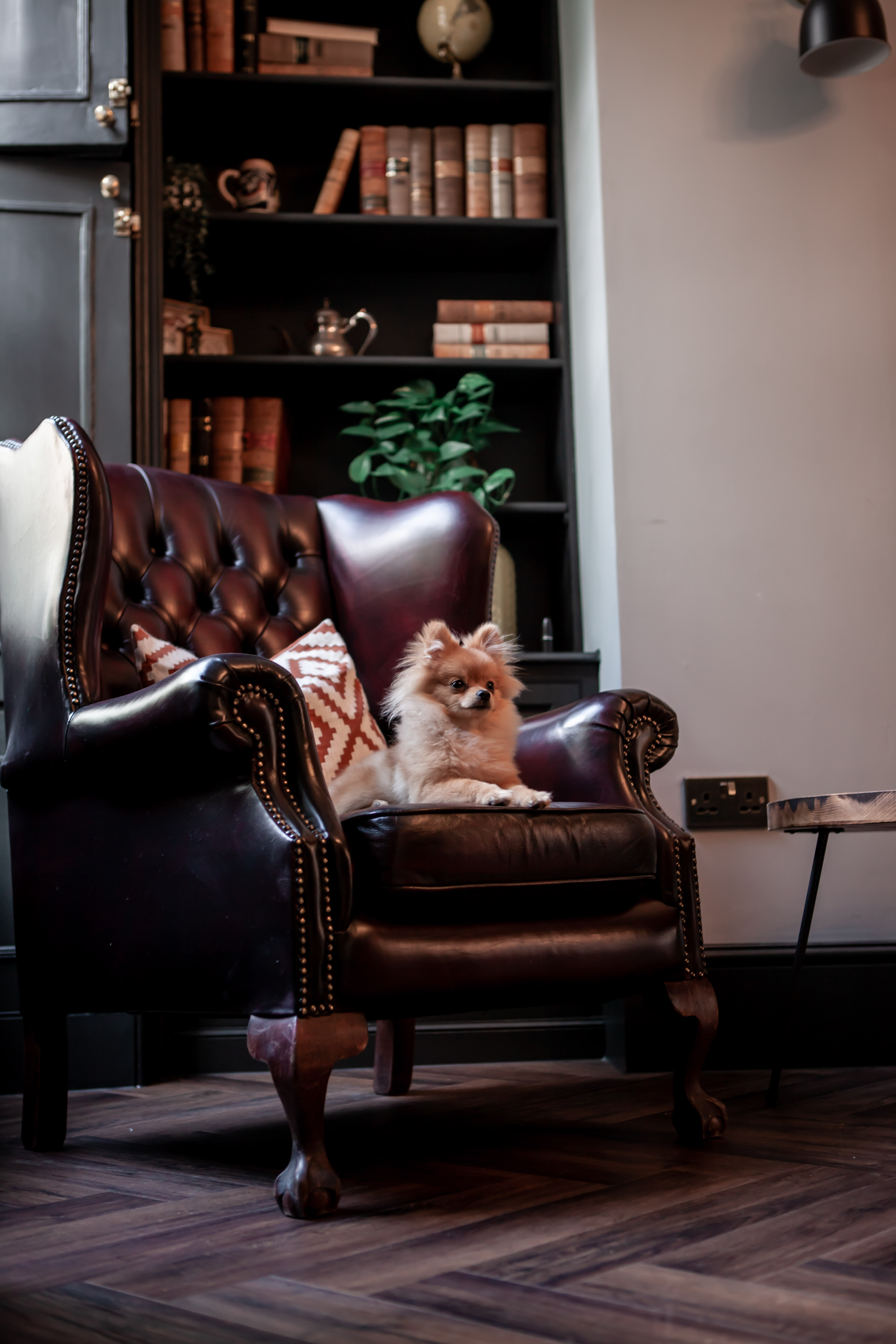 Cozy Members Lounge at 1 Bedford Row with plush armchair, ideal for networking events.