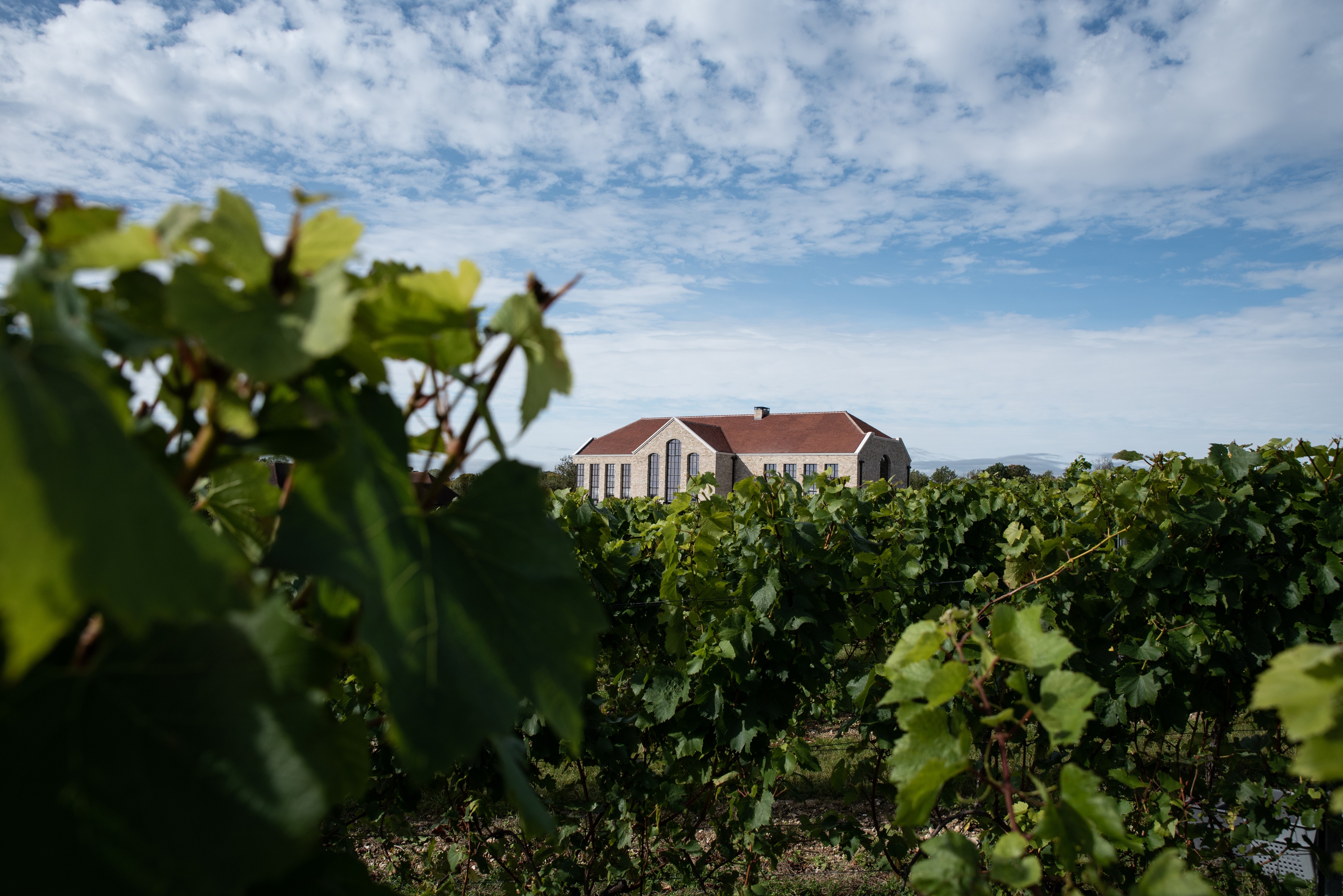 Exton Hall - 1rrme1drjqw.jpg