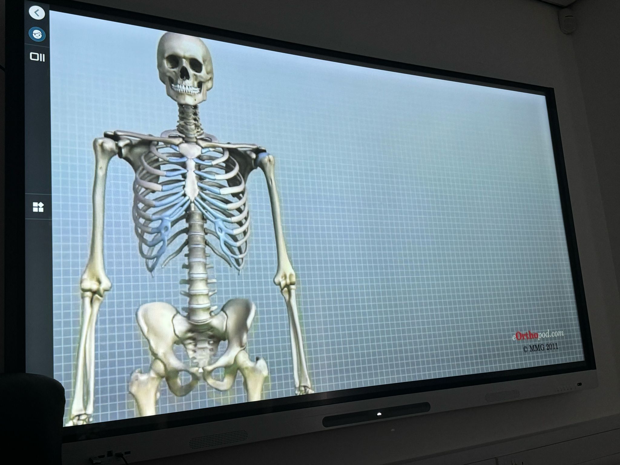 Conference room with digital human skeleton display for medical workshops and events.